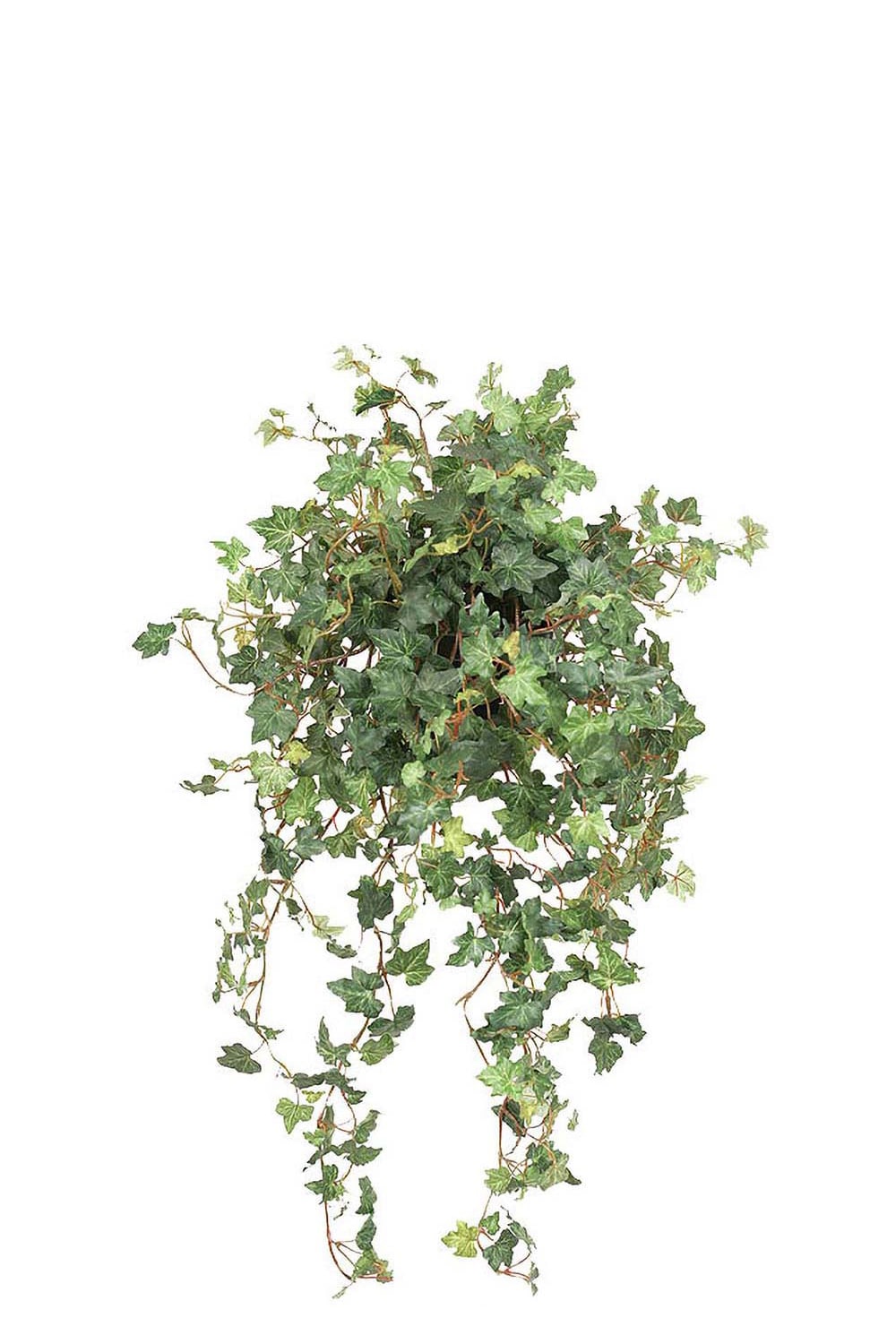 Kunstig grønn Eføy 78 cm