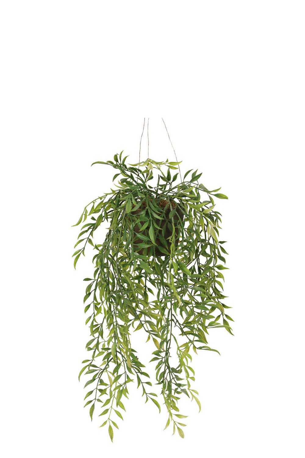 Kunstig grønn Hoya 47 cm