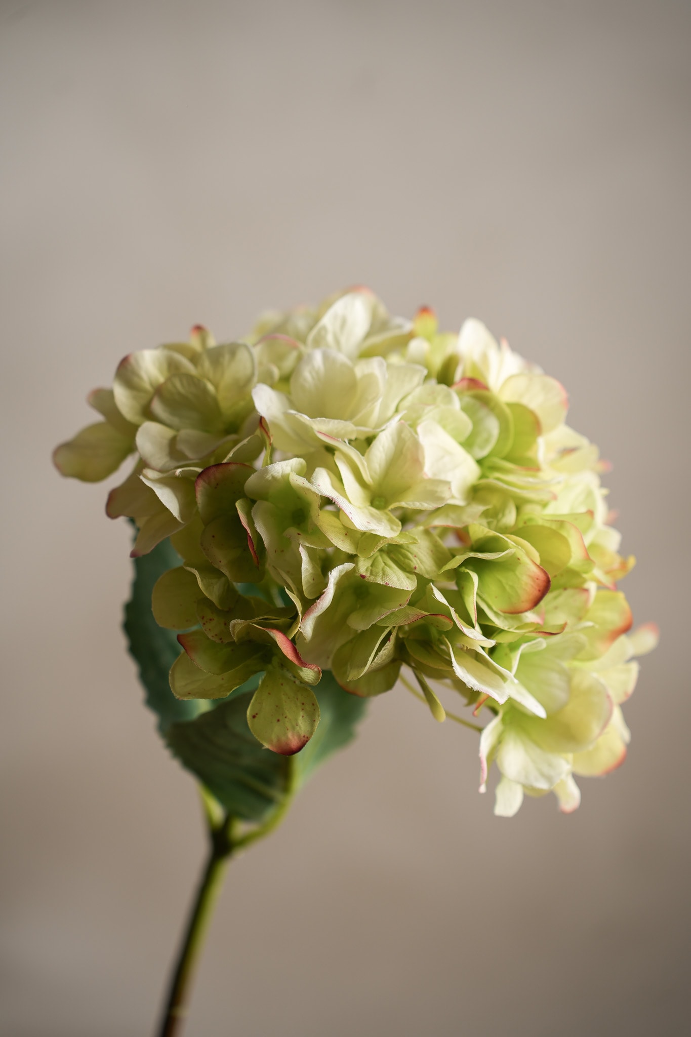 Kunstig grønn Hortensia 48cm
