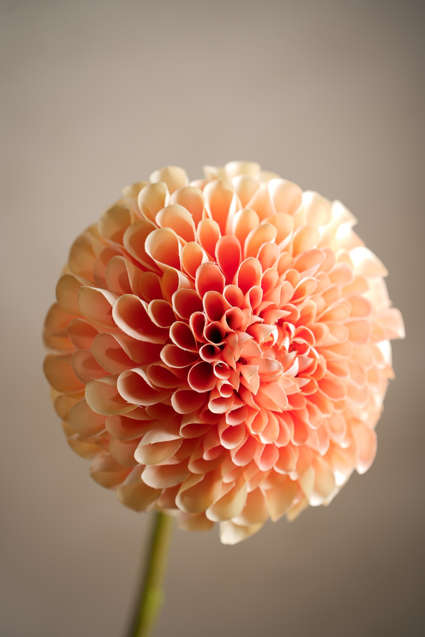 Kunstig ferskenfarget Dahlia 75 cm