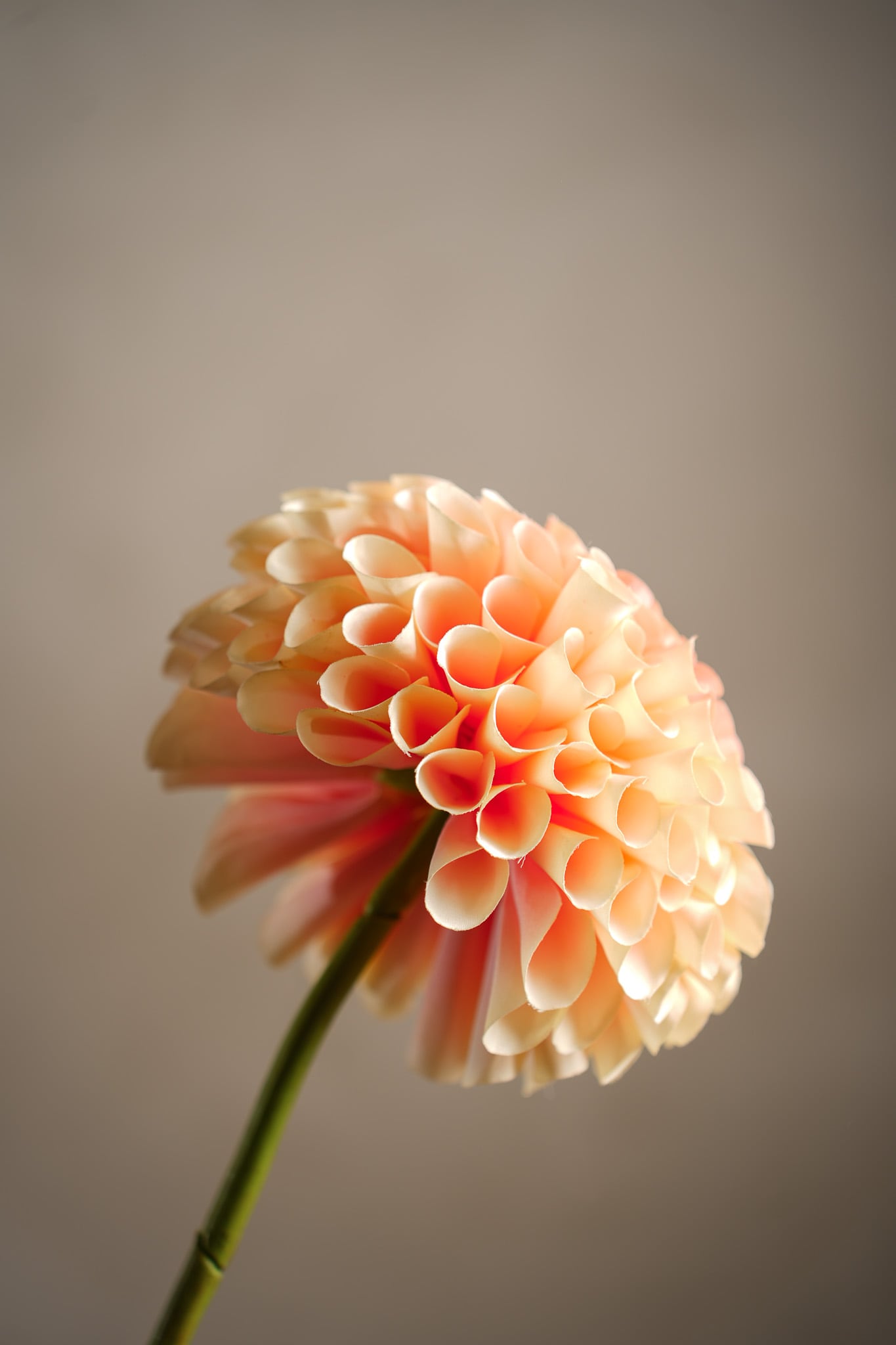 Kunstig ferskenfarget Dahlia 75 cm