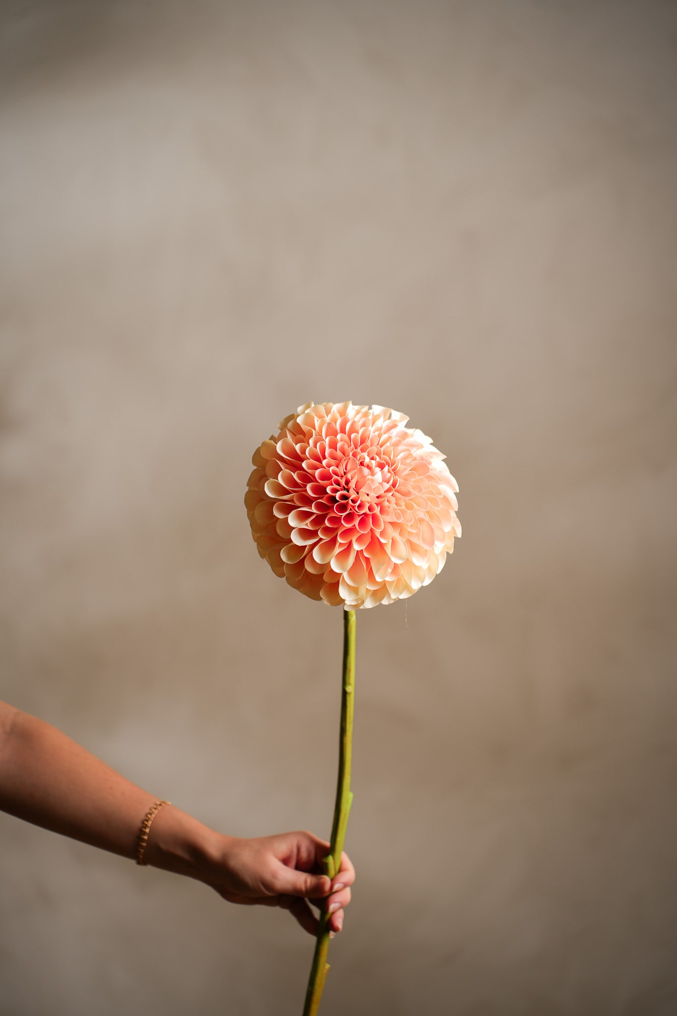 Kunstig ferskenfarget Dahlia 75 cm