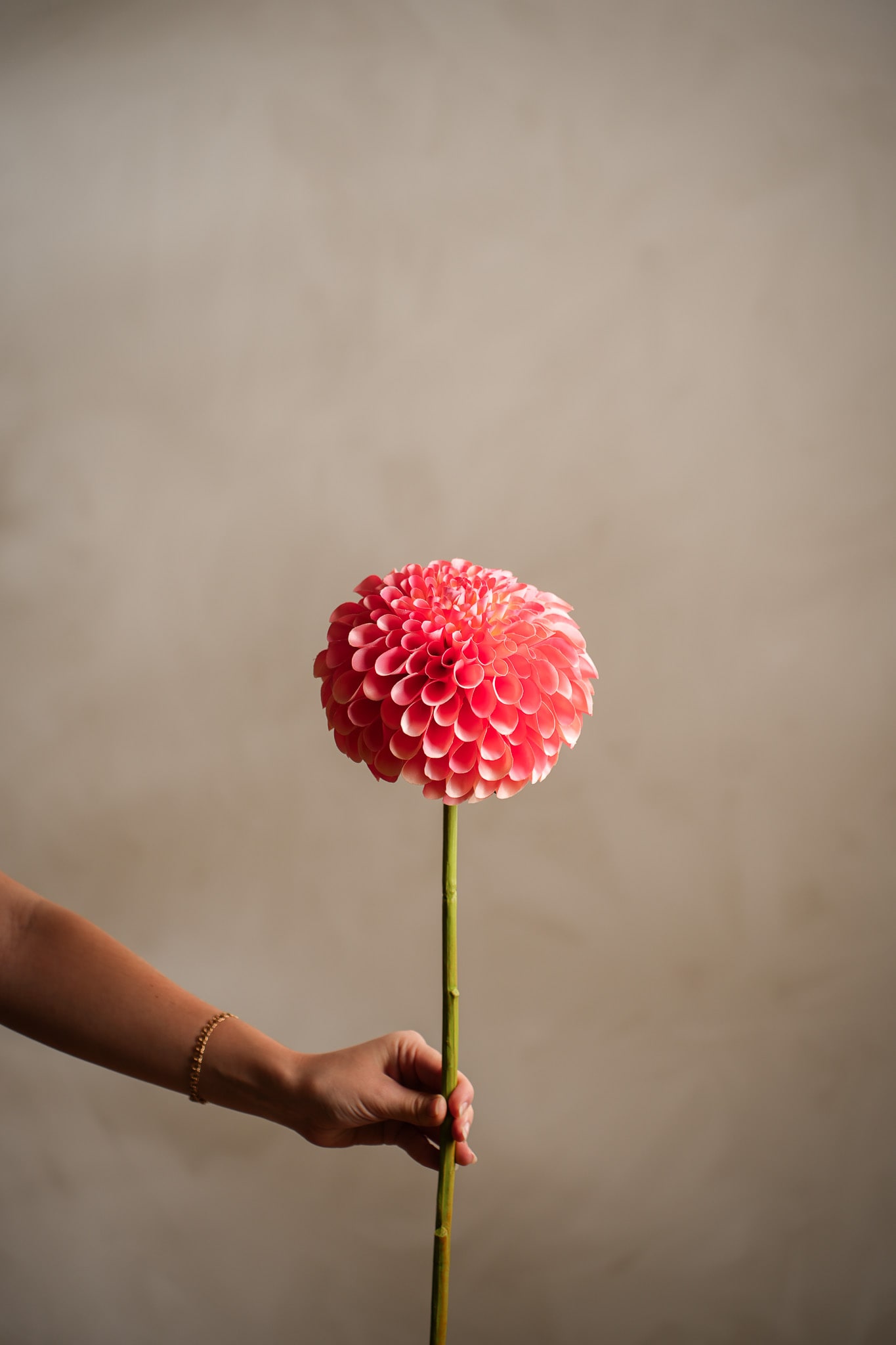 Kunstig ferskenfarget Dahlia 75 cm