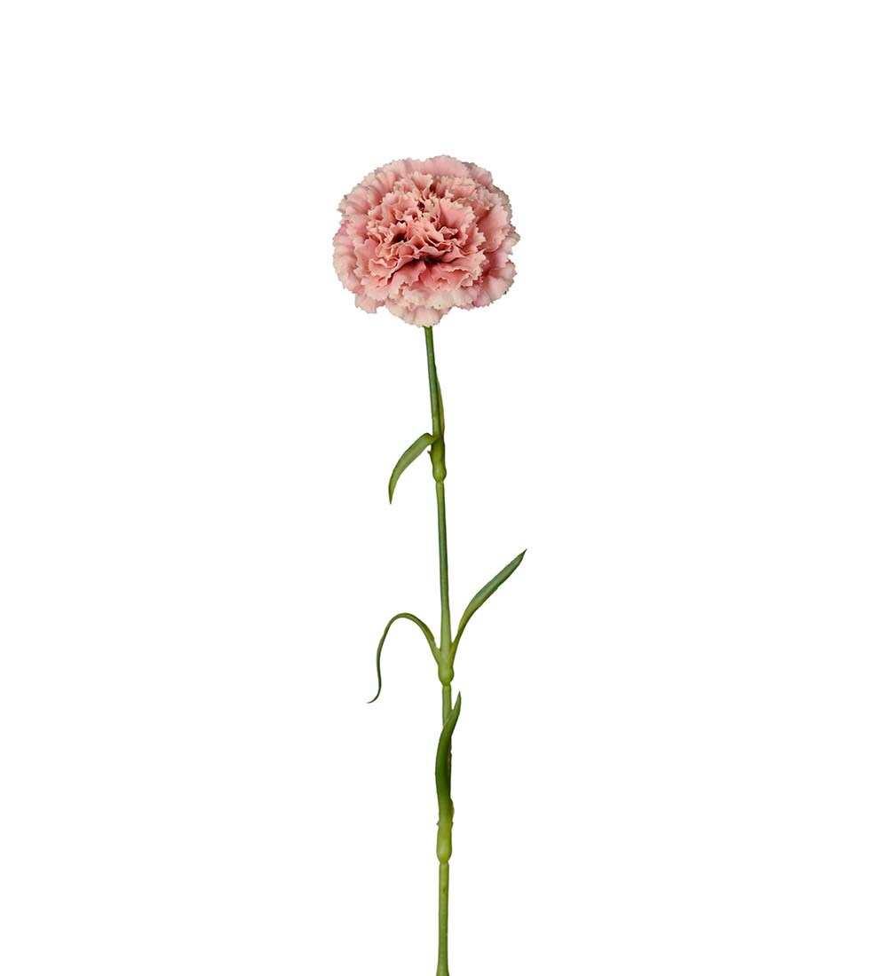 Kunstig rosa Nellik 44cm