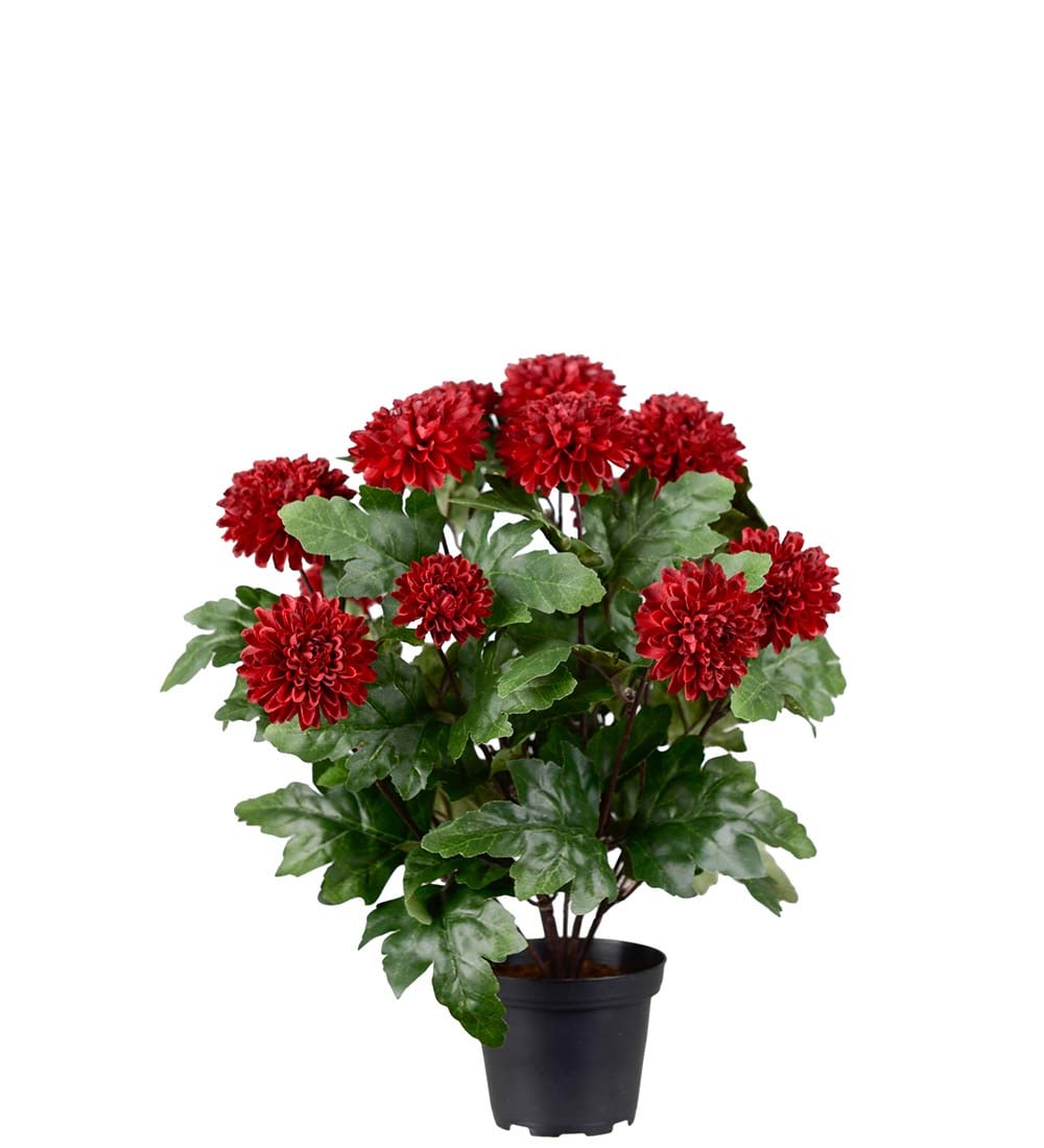 Kunstig burgunder Chrysanthemum 30cm