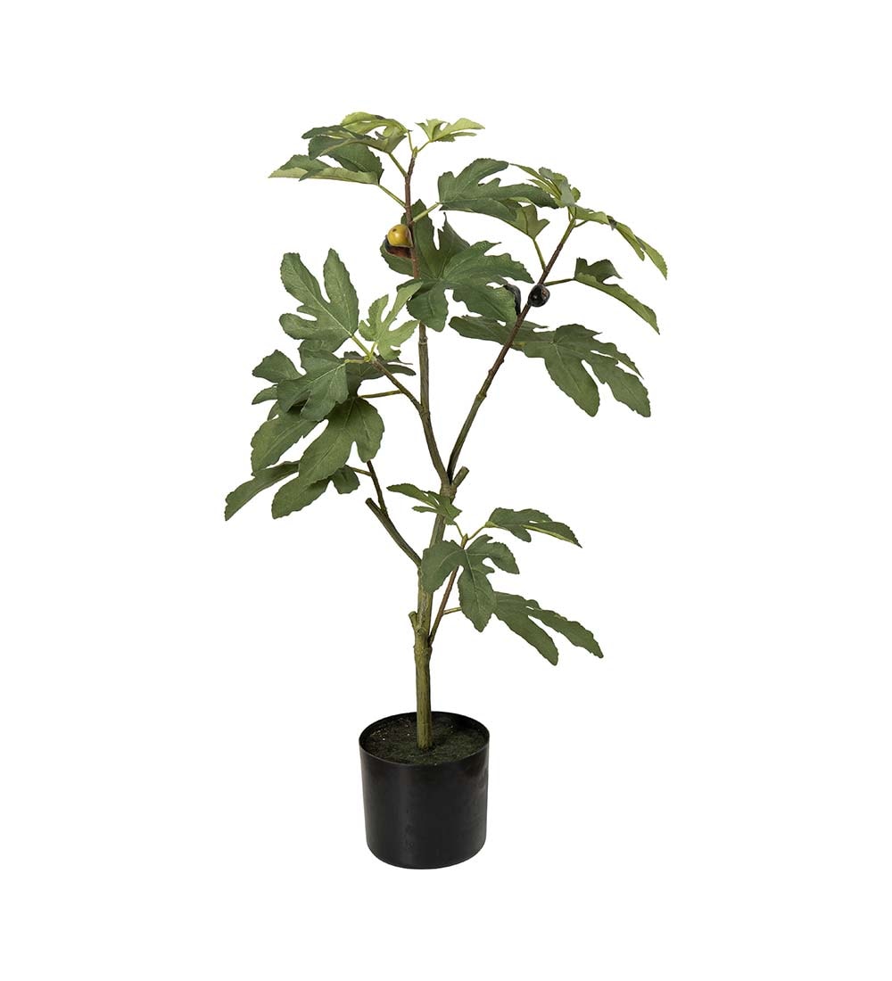 Kunstig grønn Fiken 80cm