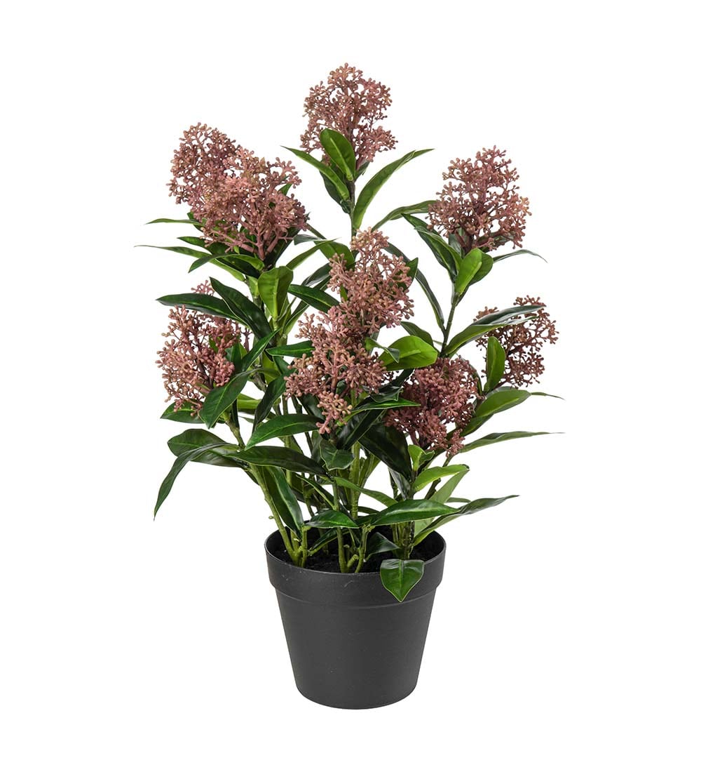 Kunstig burgunder Skimmia 36cm