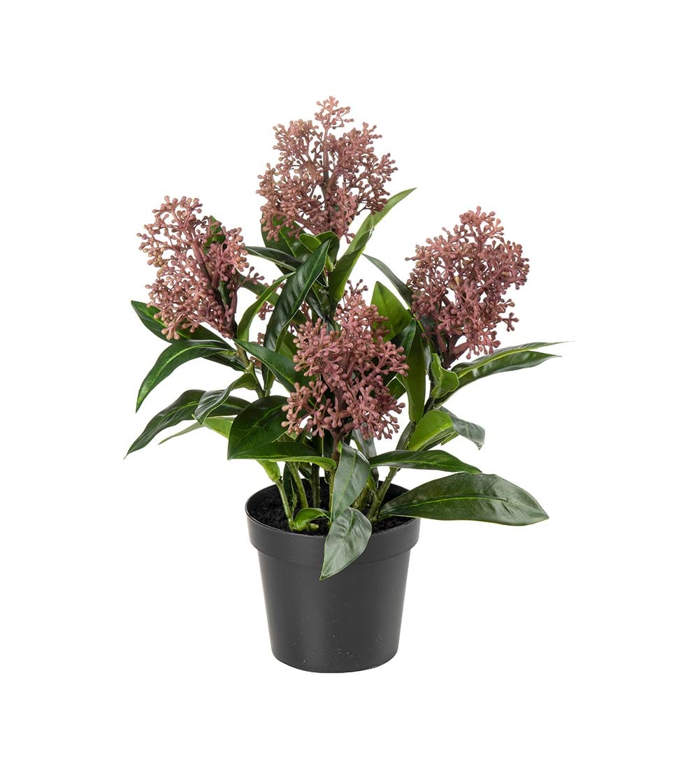 Kunstig burgunder Skimmia 55cm