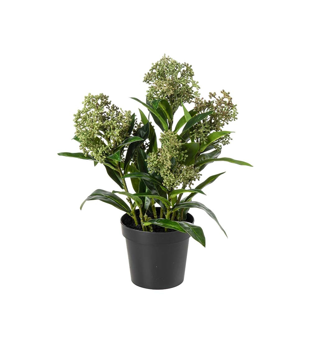 Kunstig grønn Skimmia 55cm