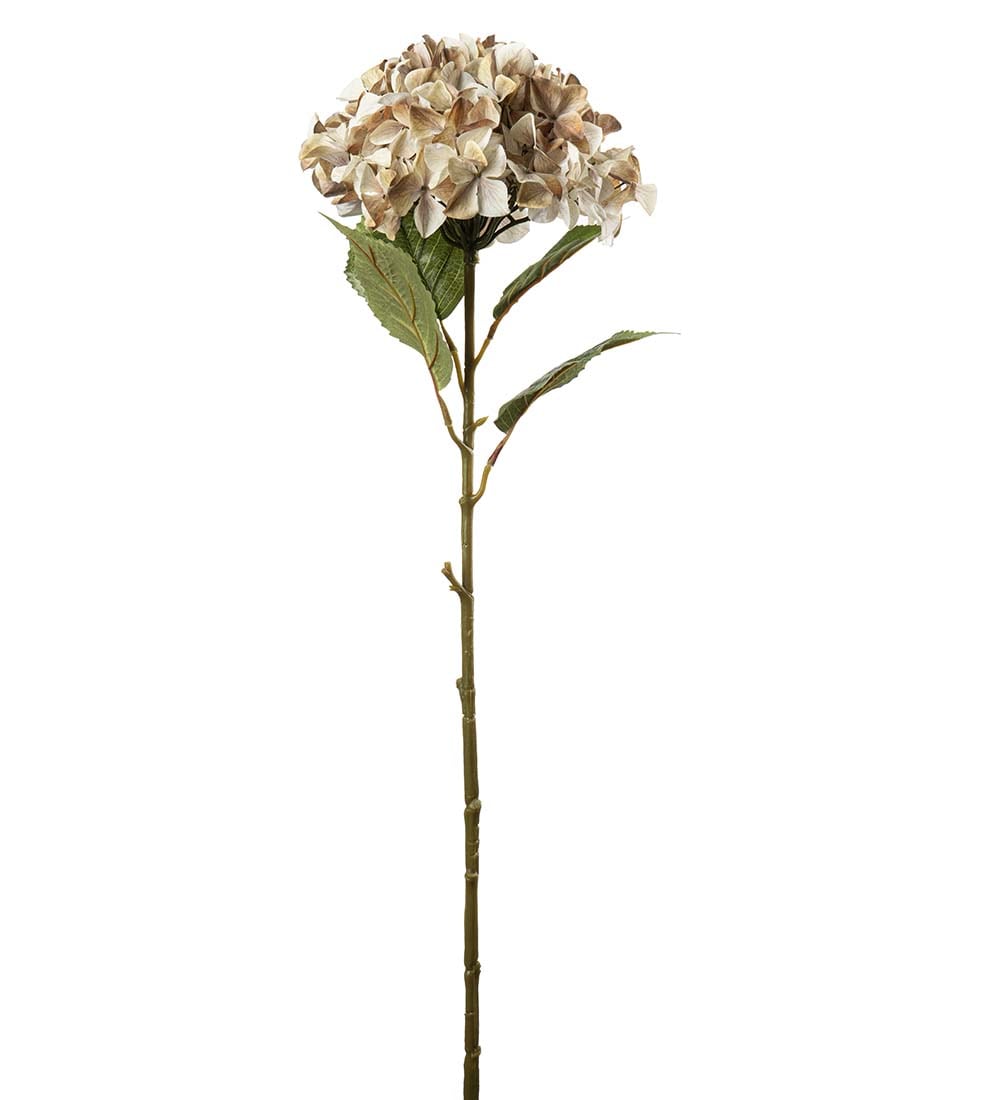Kunstig beige Hortensia 110cm