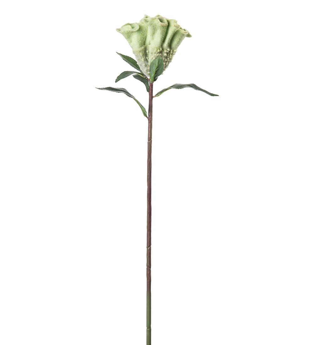 Kunstig grønn Celosia 67cm