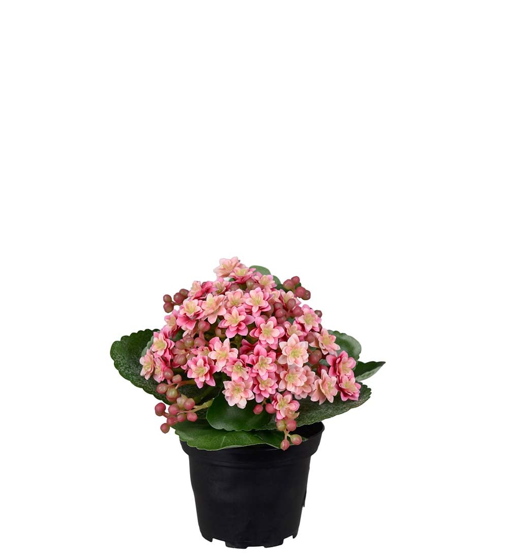 Kunstig rosa Kalanchoe 18cm