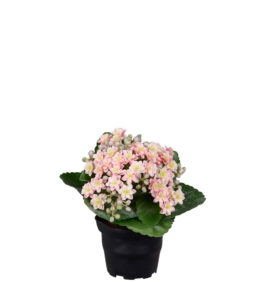 Kunstig rosa Kalanchoe 18cm