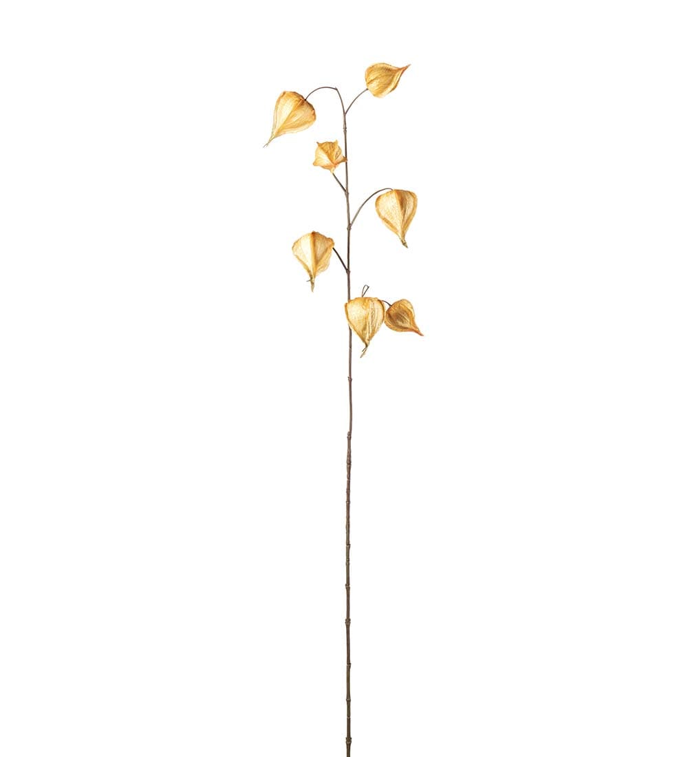 Kunstig gul Physalis 95cm