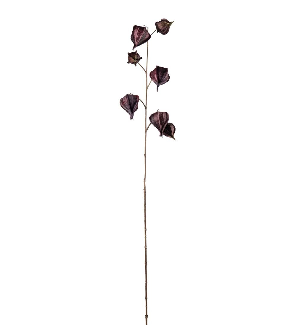 Kunstig burgunder Physalis 95cm