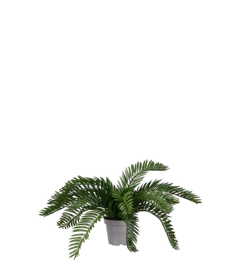 Kunstig grønn Cycas 20cm
