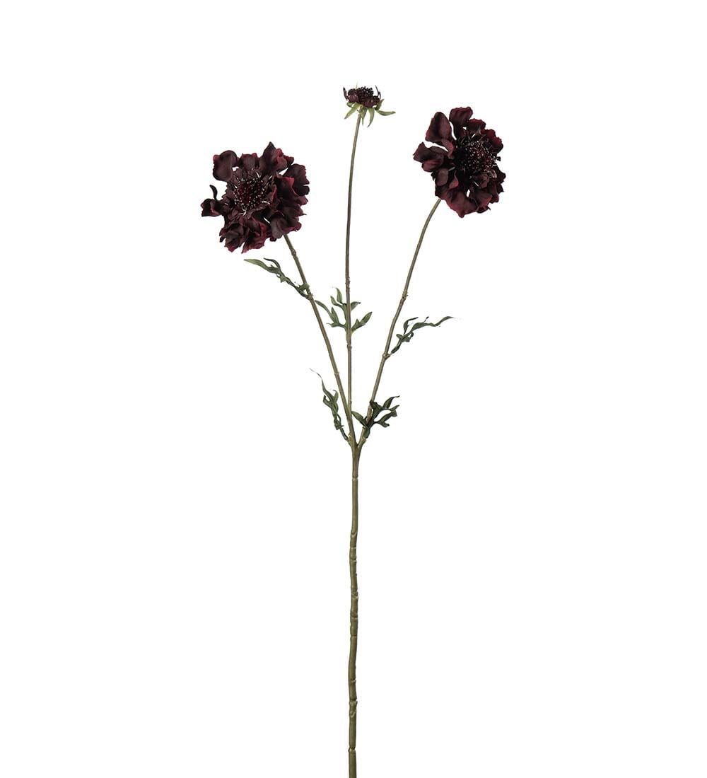 Kunstig burgunder Scabiosa 65cm