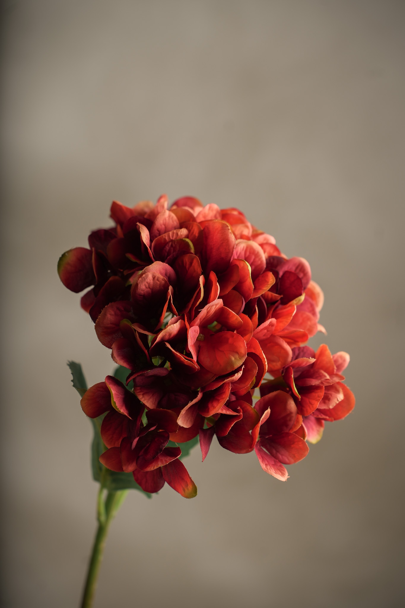 Kunstig oransje Hortensia 48cm