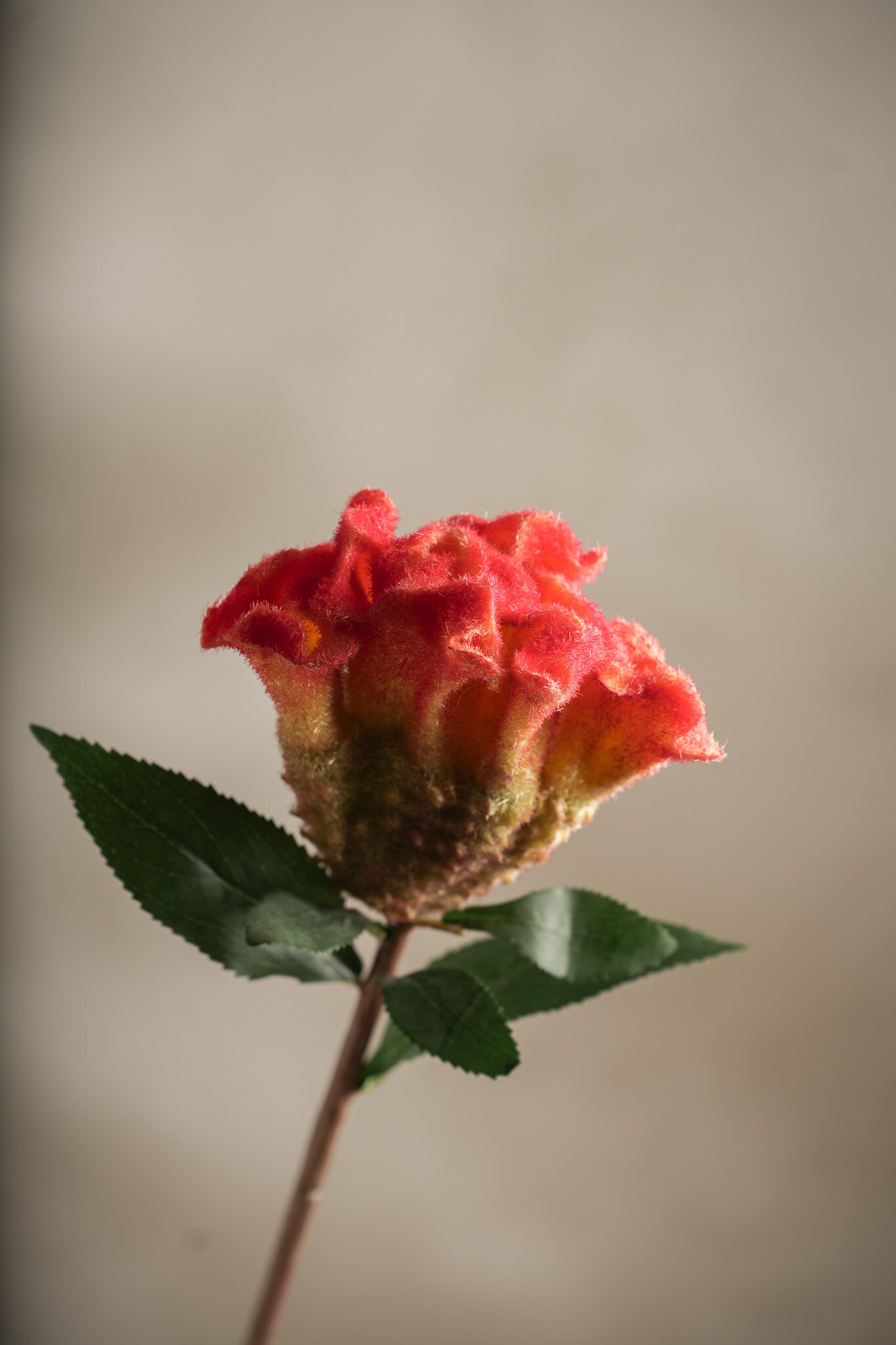 Kunstig oransje Celosia 67cm