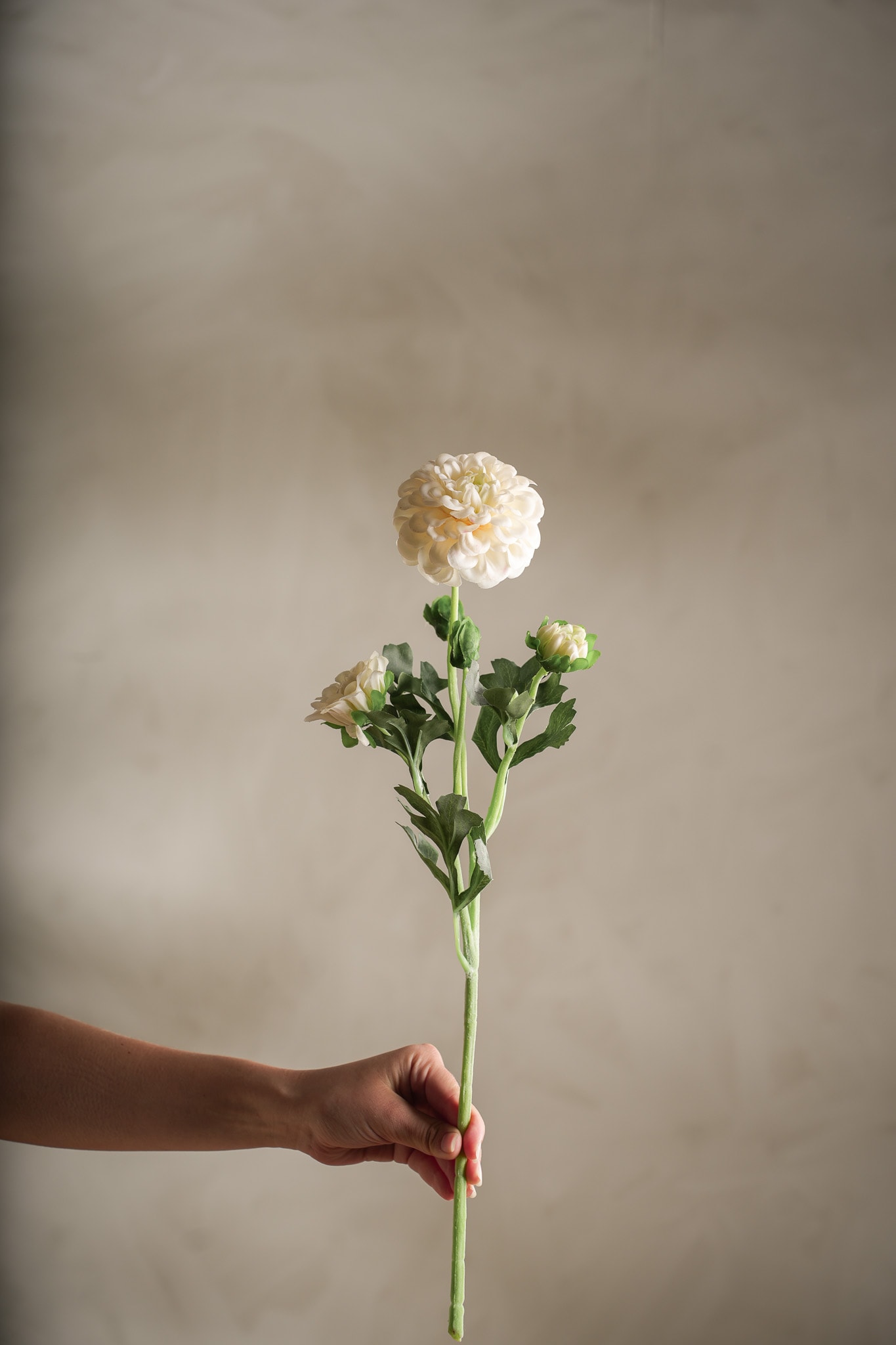 Kunstig krem Chrysanthemum 52cm