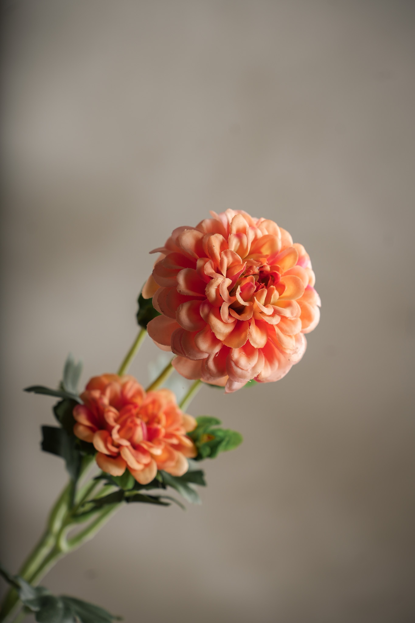 Kunstig korall Chrysanthemum 52cm