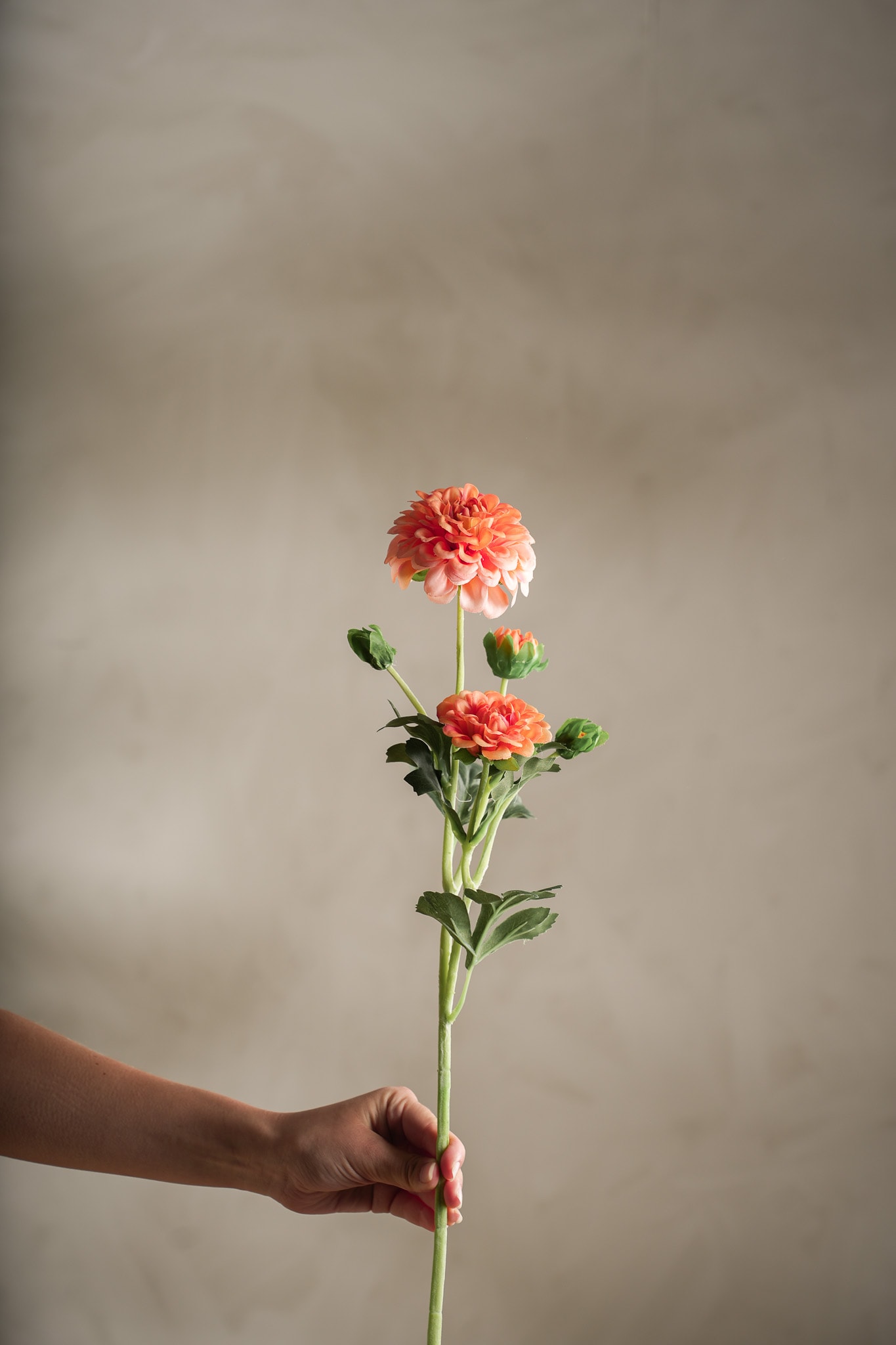 Kunstig korall Chrysanthemum 52cm