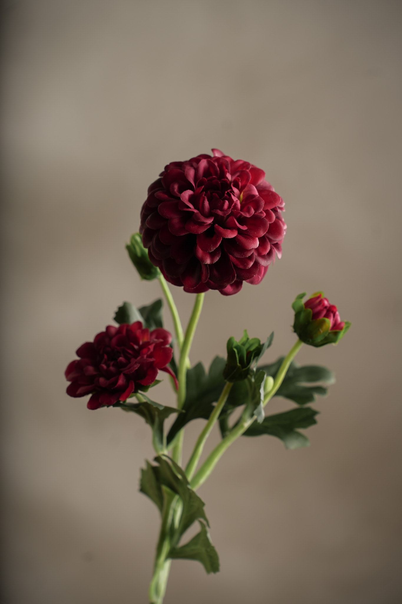 Kunstig burgunder Chrysanthemum 52cm