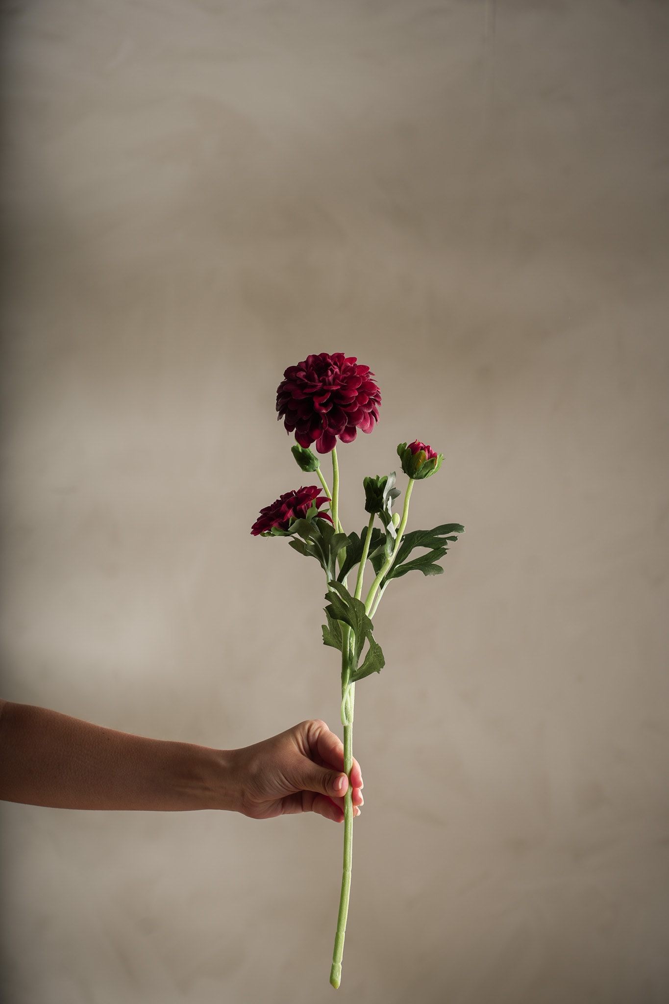 Kunstig burgunder Chrysanthemum 52cm