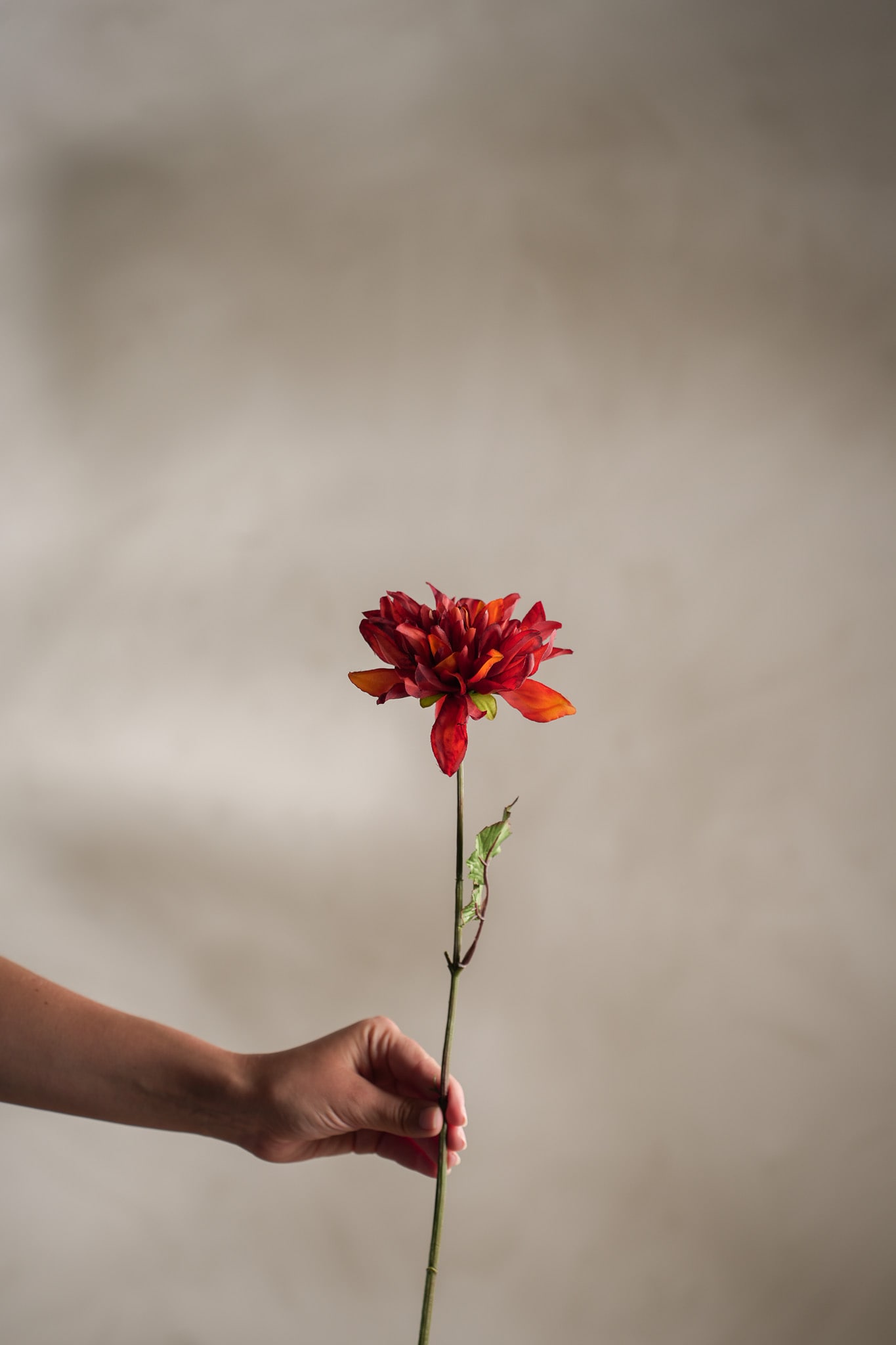 Kunstig oransje Dahlia 45cm