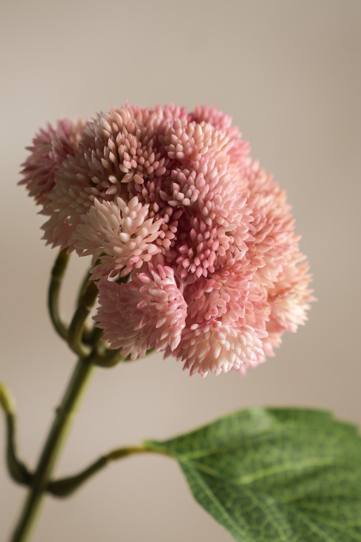 Kunstig rosa Sedum 37cm