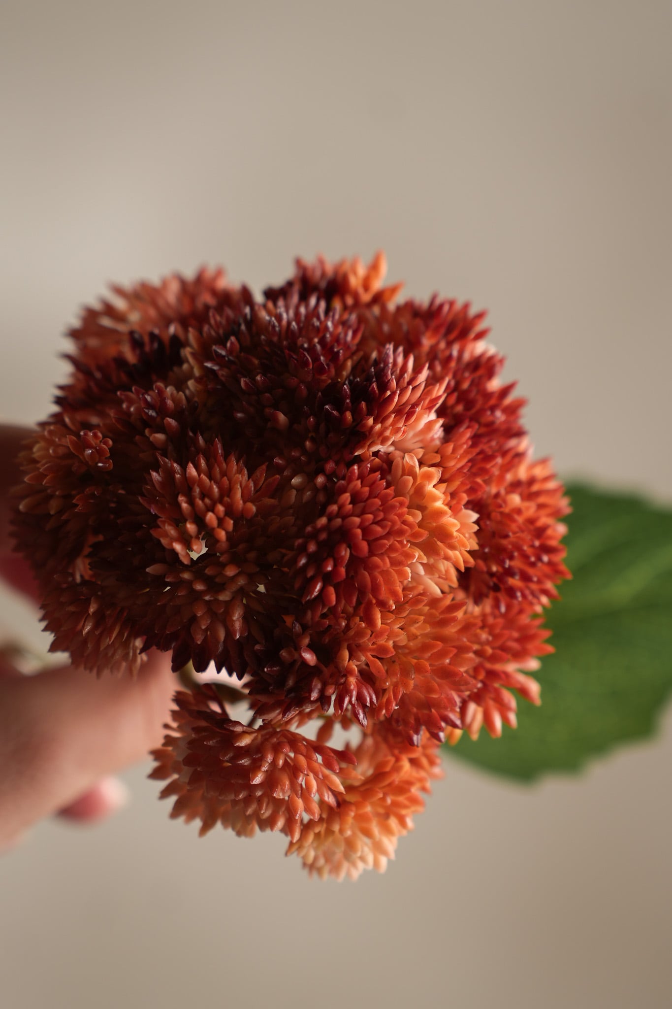 Kunstig rust Sedum 37cm