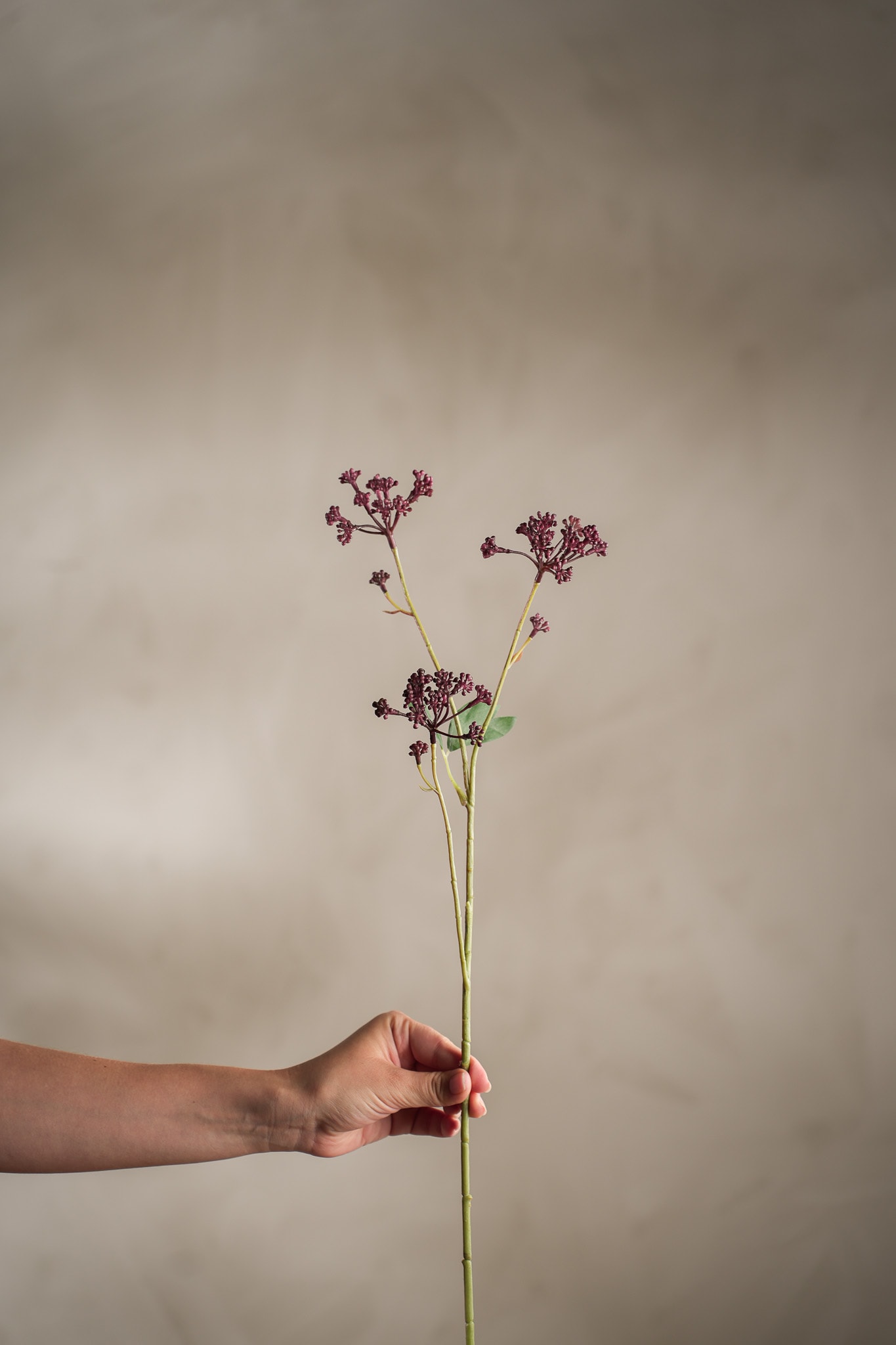 Kunstig burgunder Angelica 58cm
