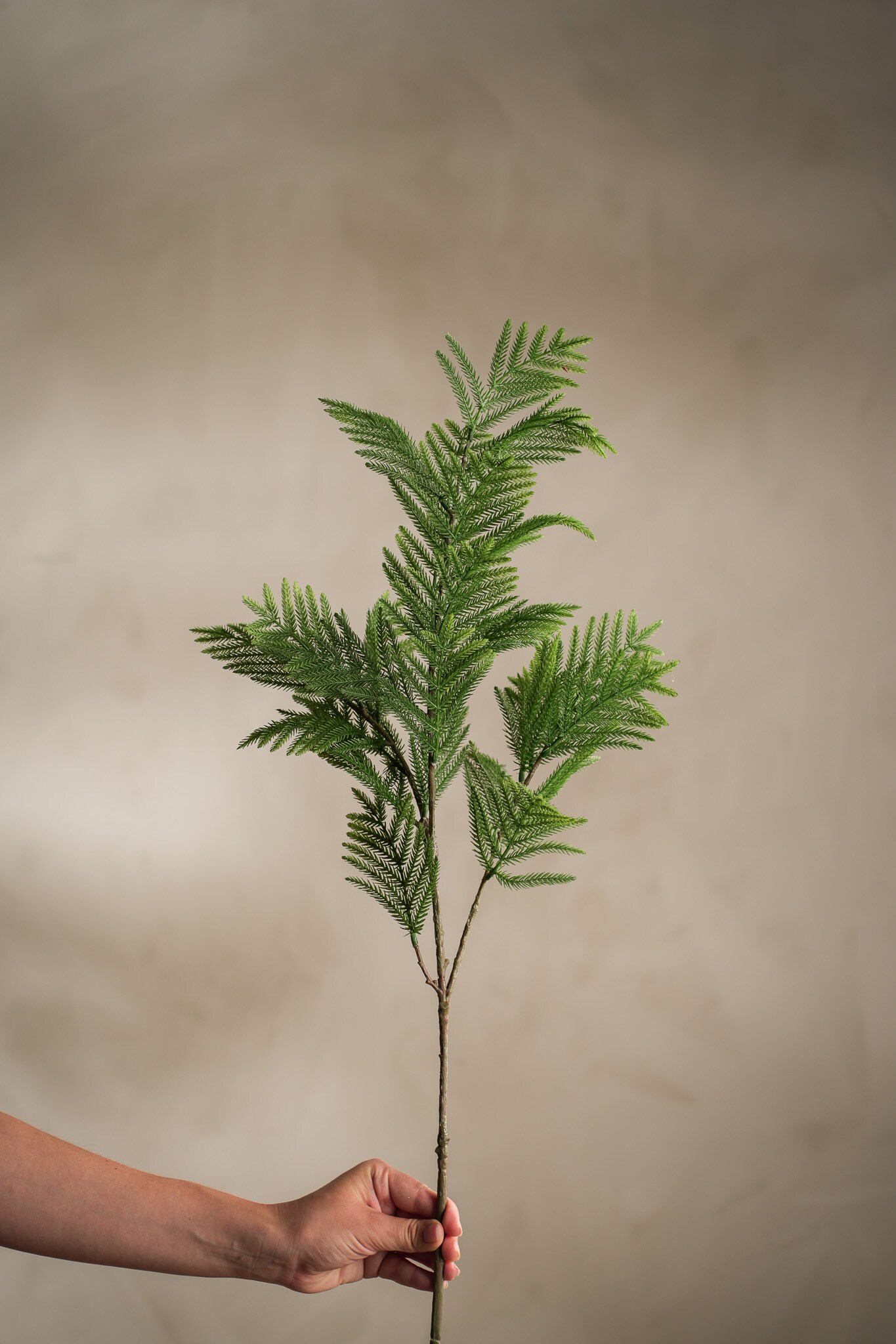 Kunstig grønn Mimosa 85cm