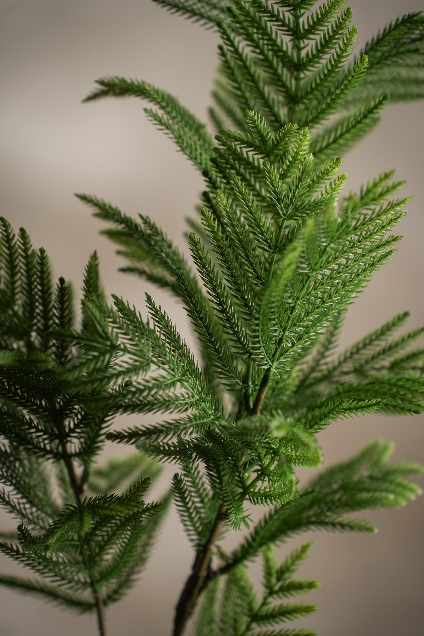 Kunstig grønn Mimosa 85cm