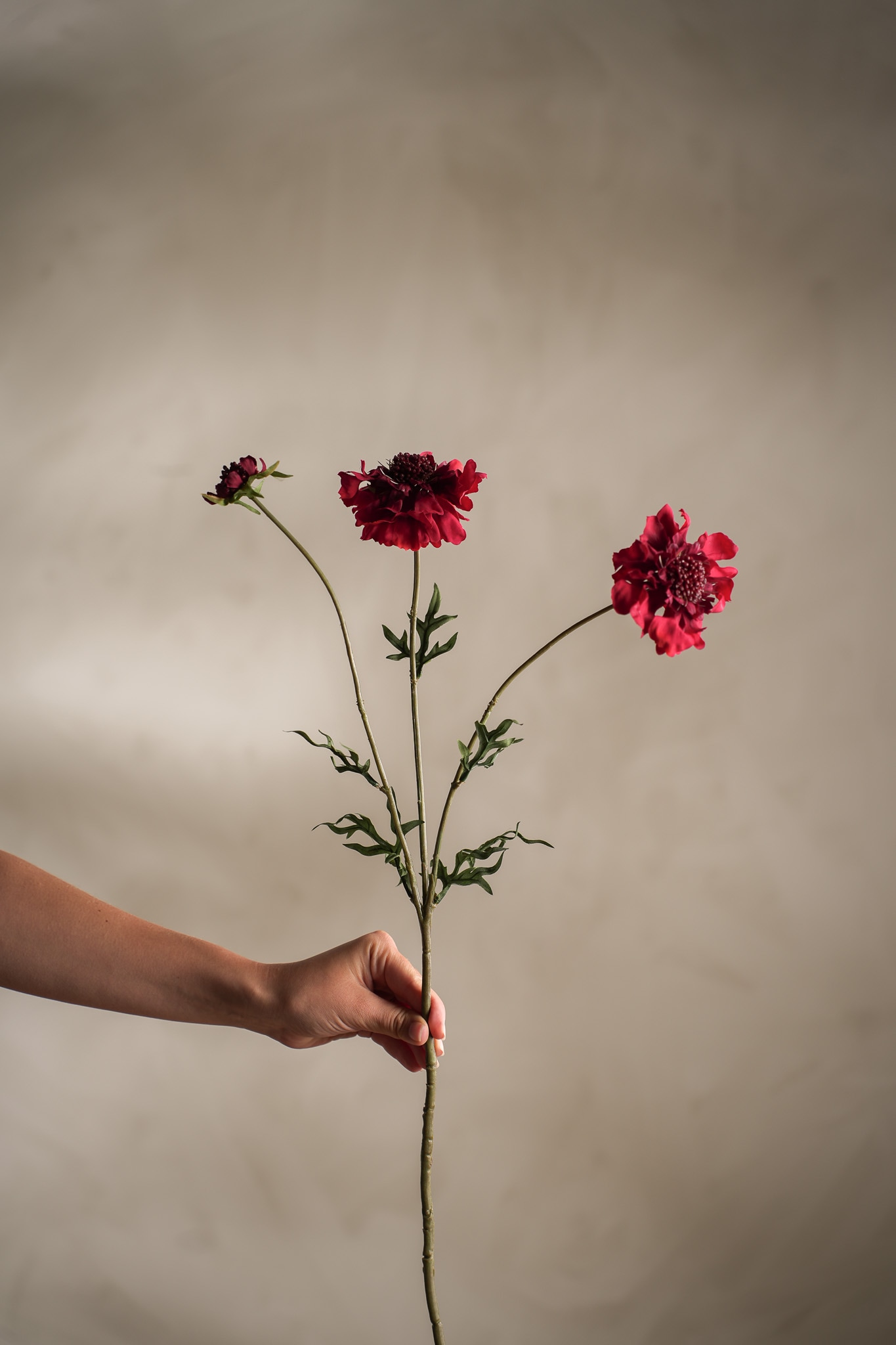 Kunstig rød Scabiosa 65cm