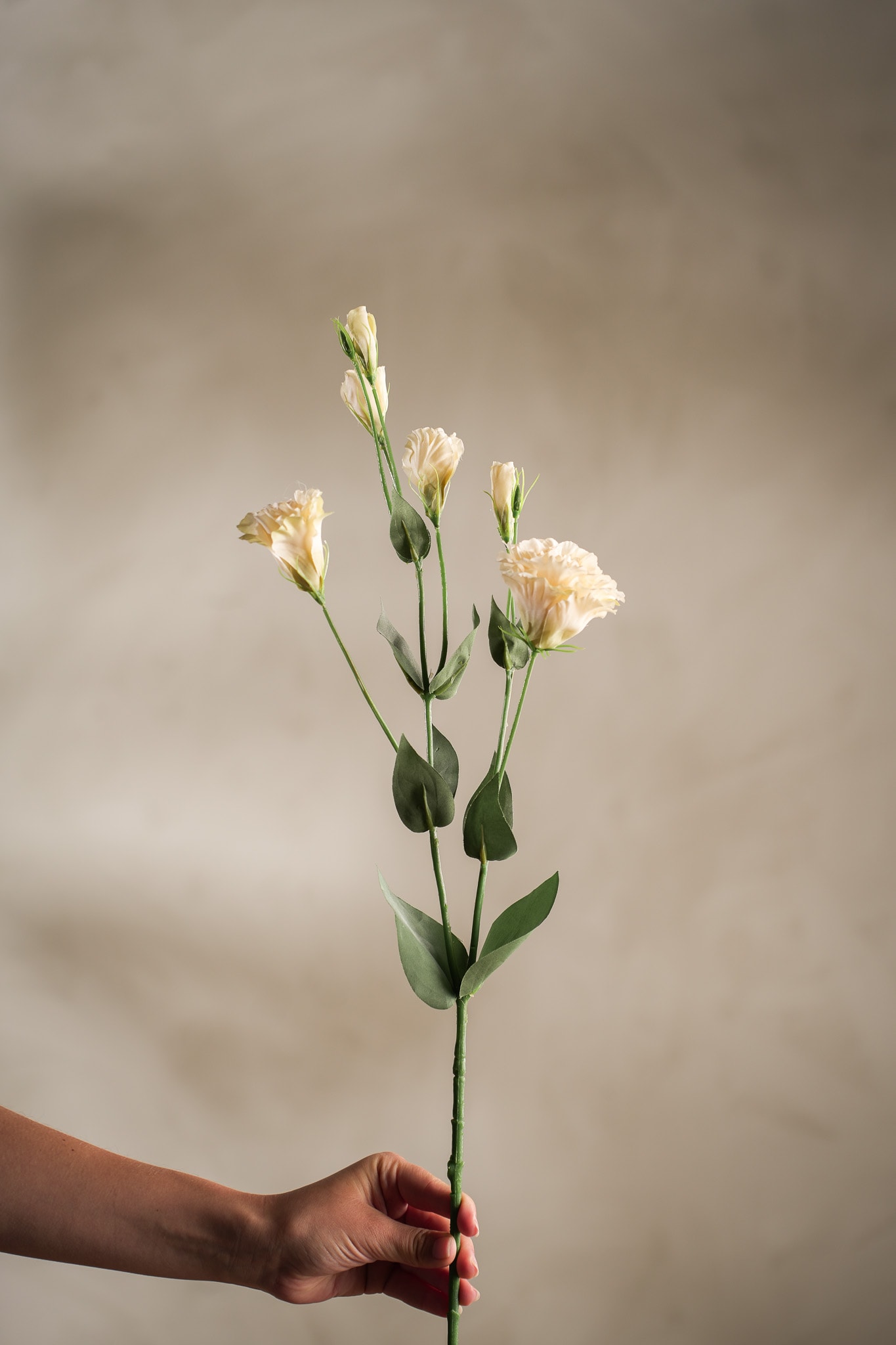 Kunstig krem Prærieklokke 73cm