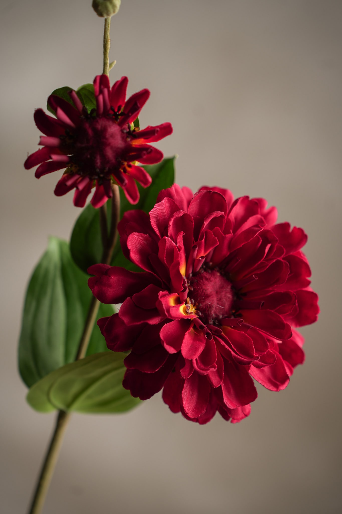 Kunstig rød Zinnia 63cm