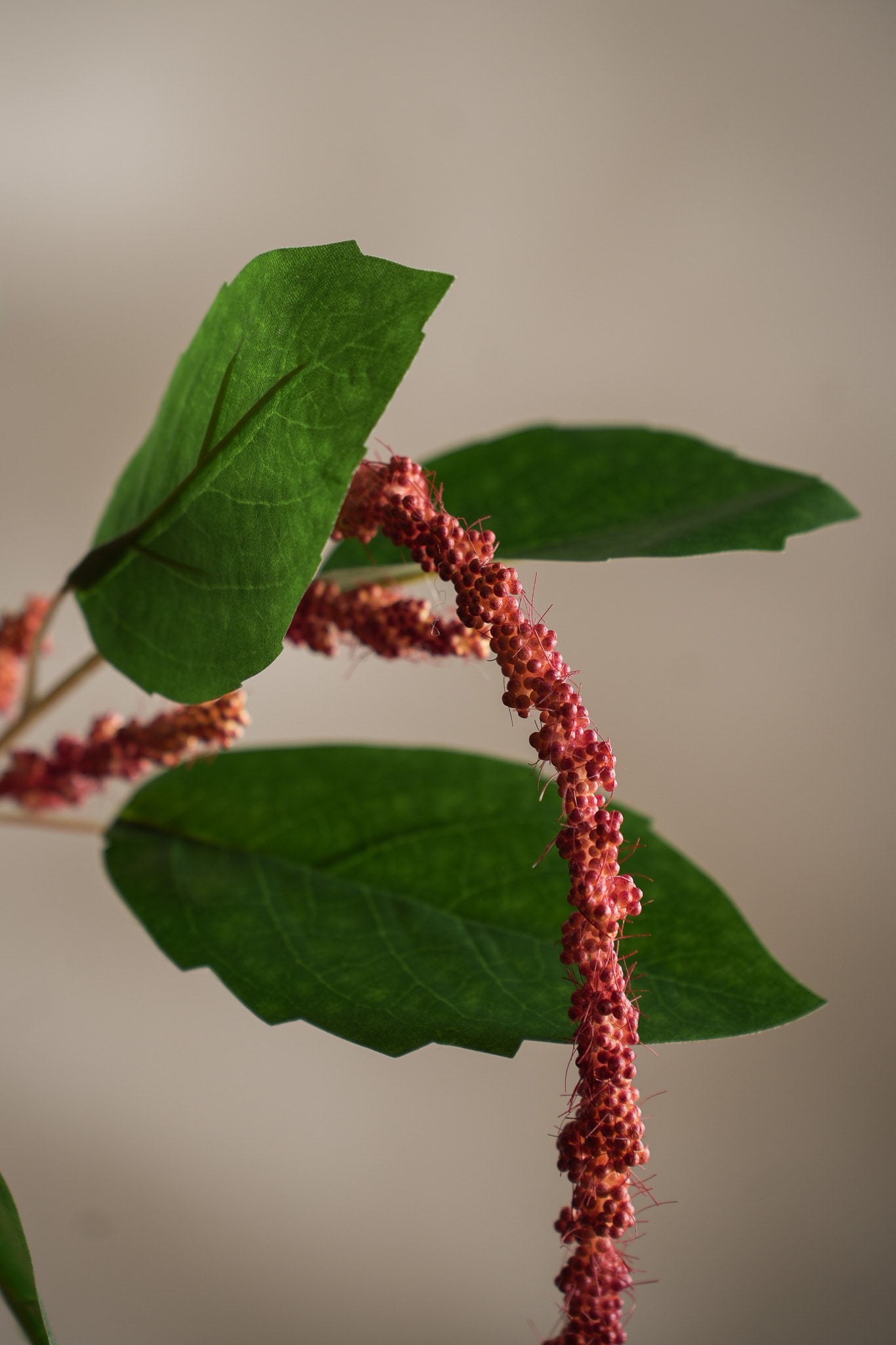 Kunstig korall Amaranthus 70cm