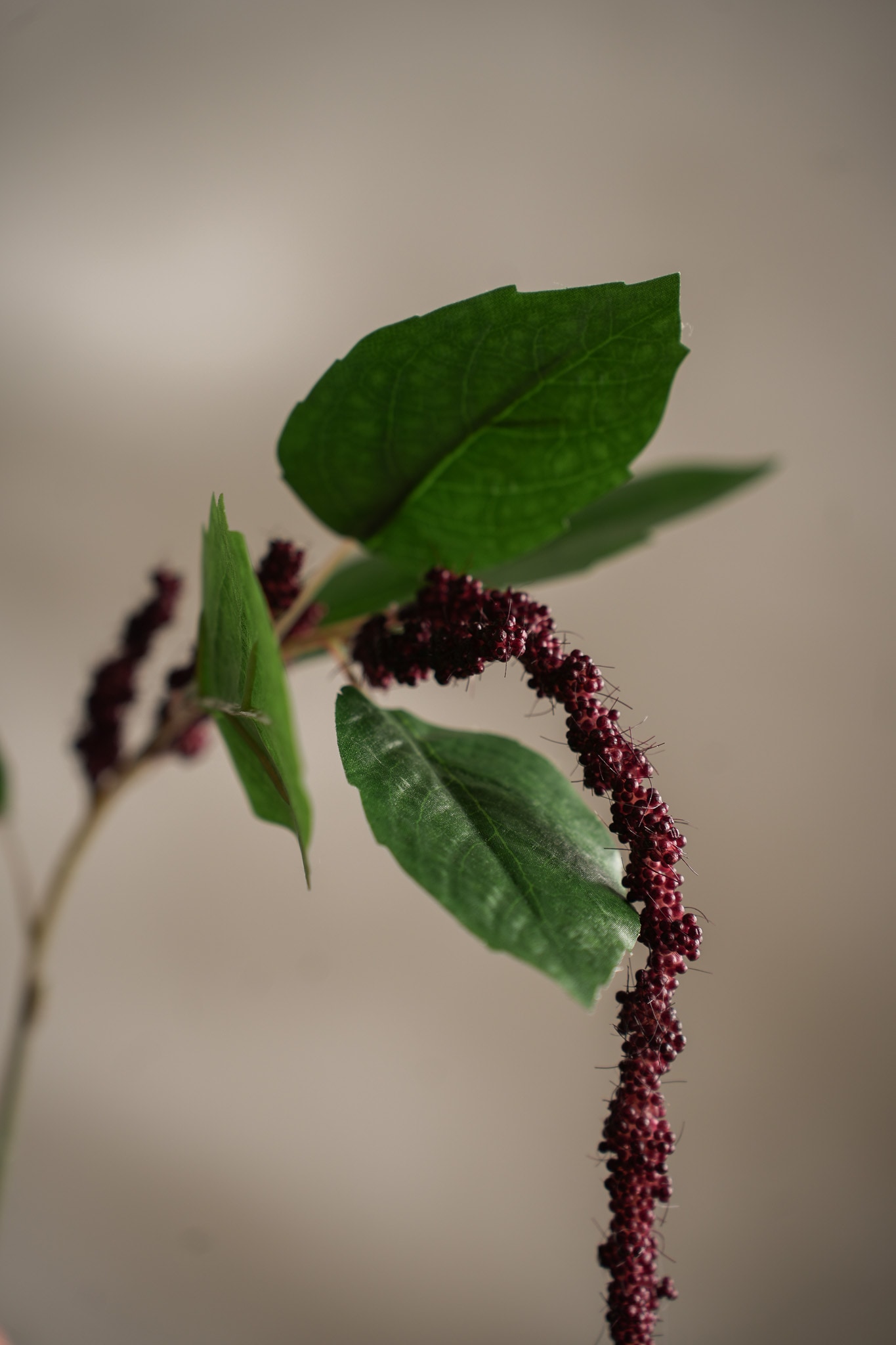 Kunstig burgunder Amaranthus 70cm