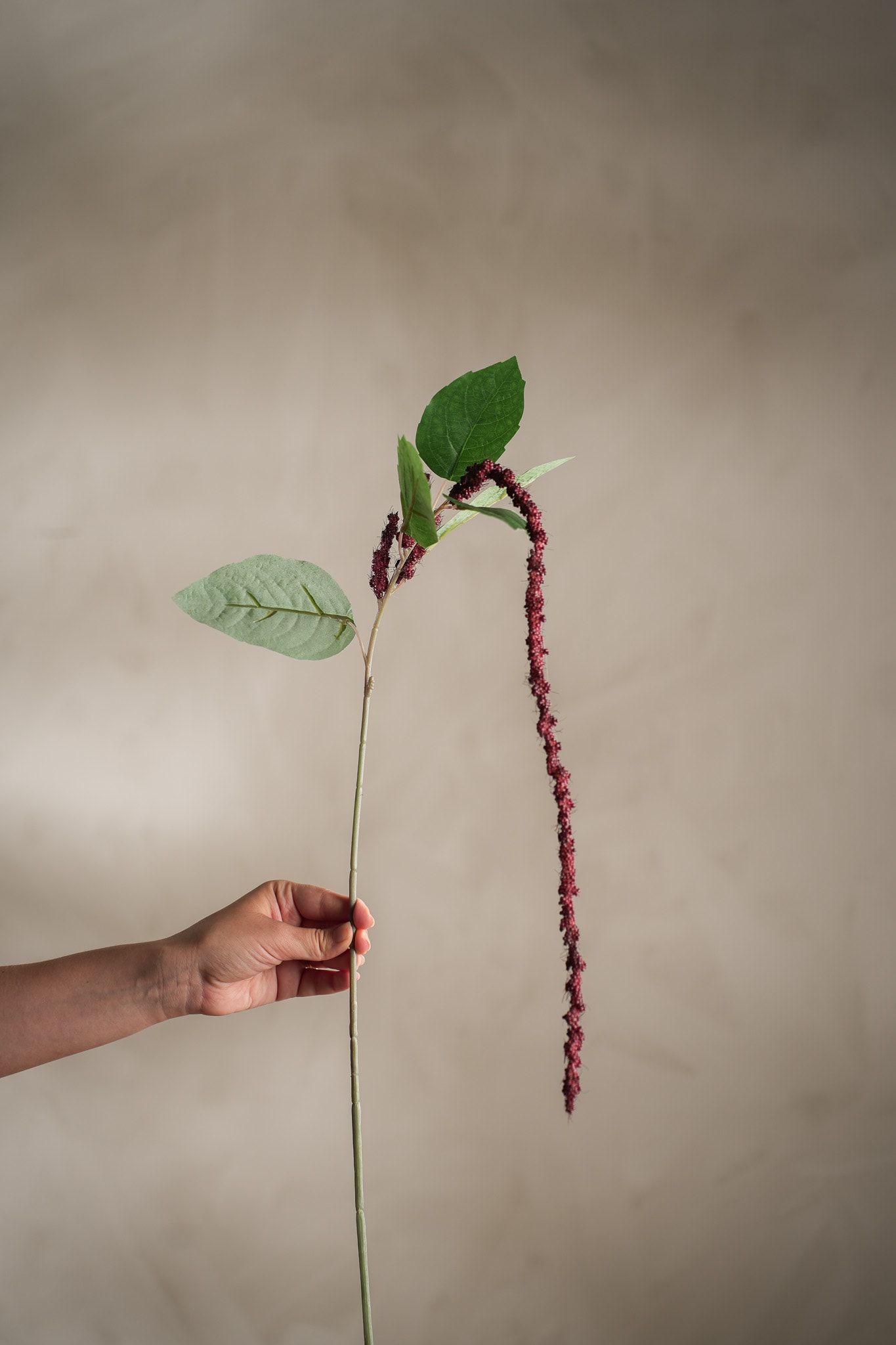 Kunstig burgunder Amaranthus 70cm