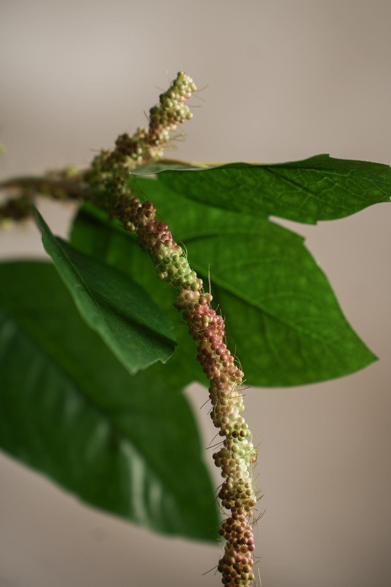 Kunstig grønn Amaranthus 70cm