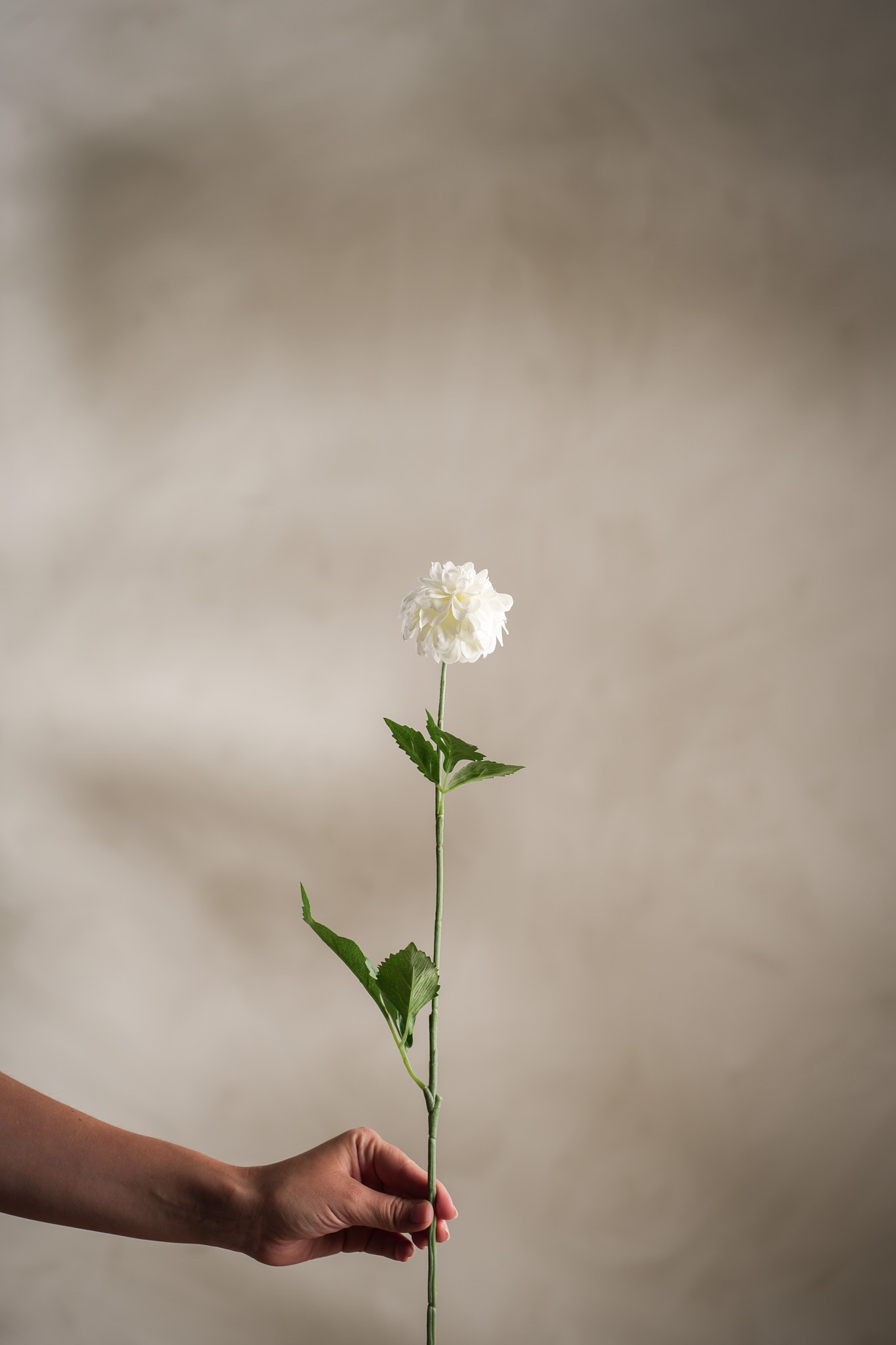 Kunstig hvit Dahlia 60cm