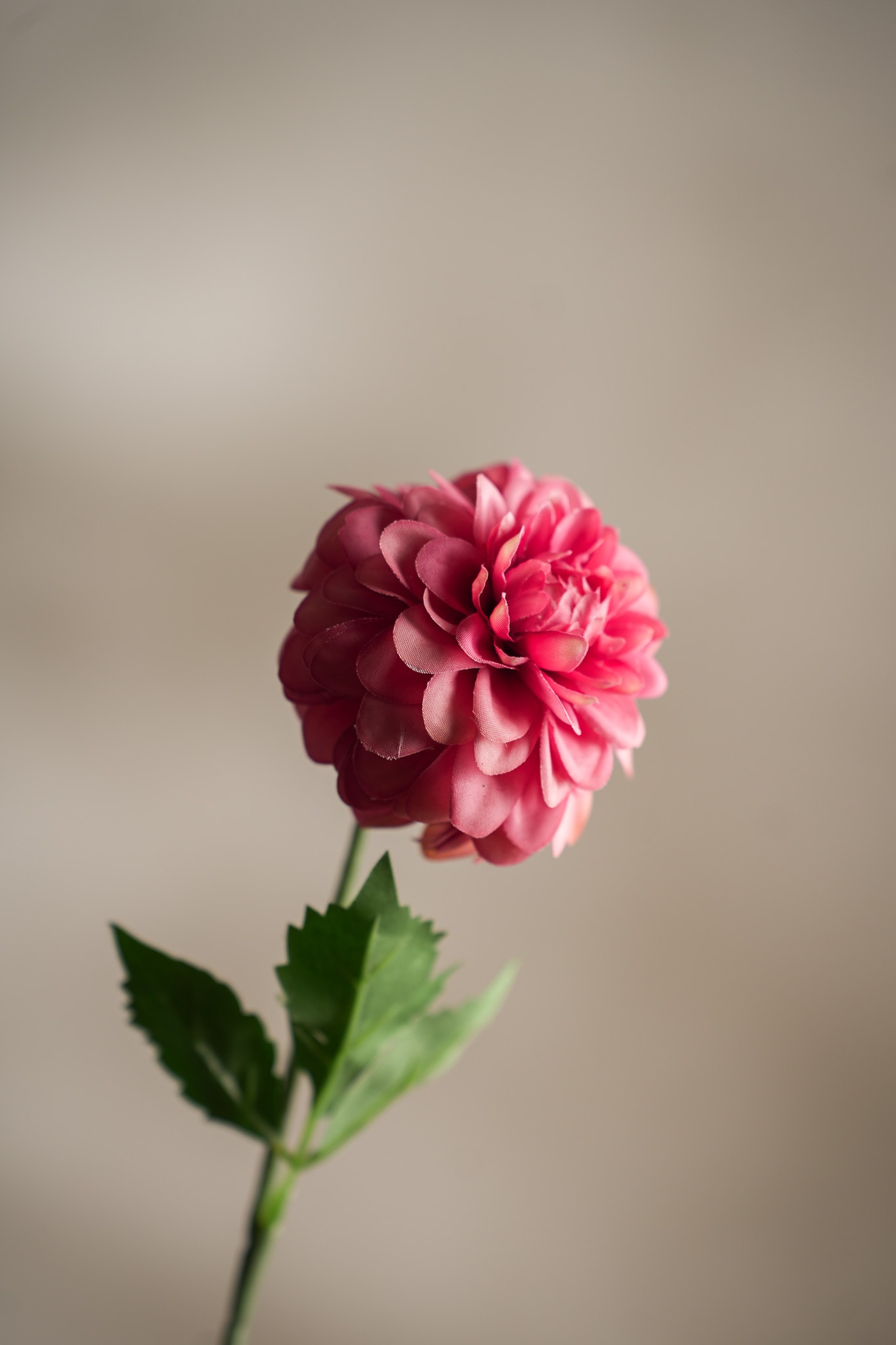 Kunstig fersken Dahlia 60cm