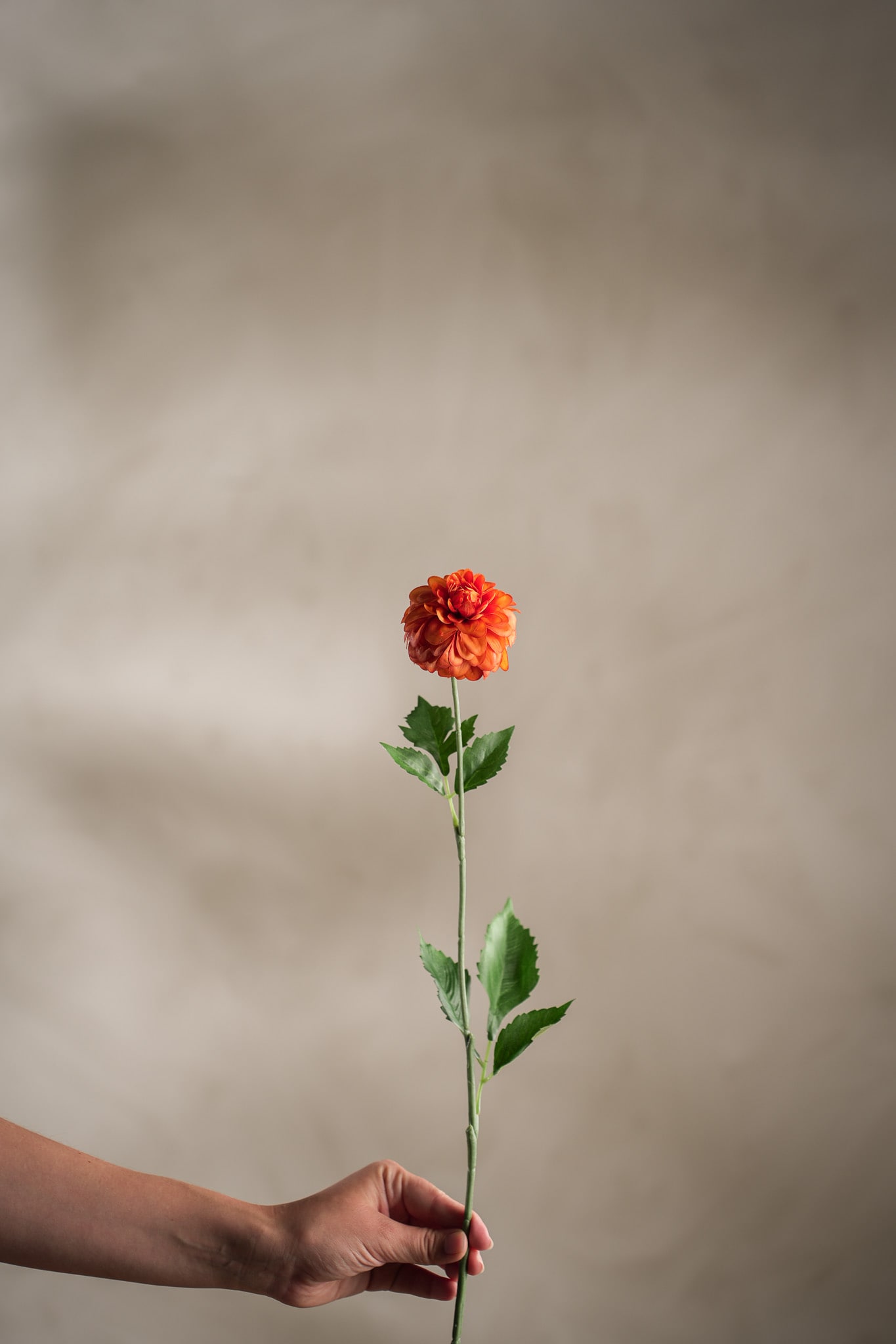Kunstig oransje Dahlia 60cm
