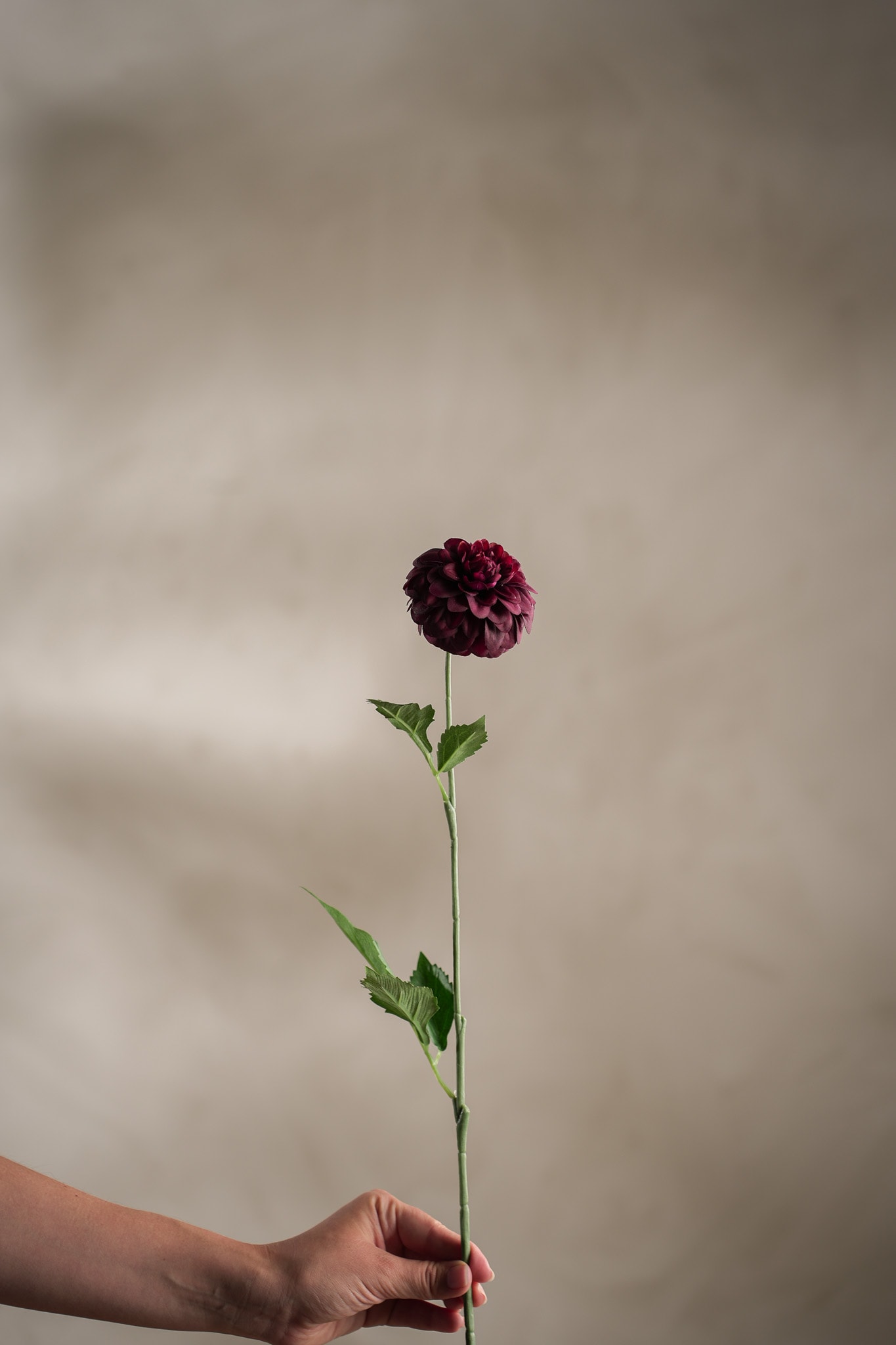 Kunstig burgunder Dahlia 60cm
