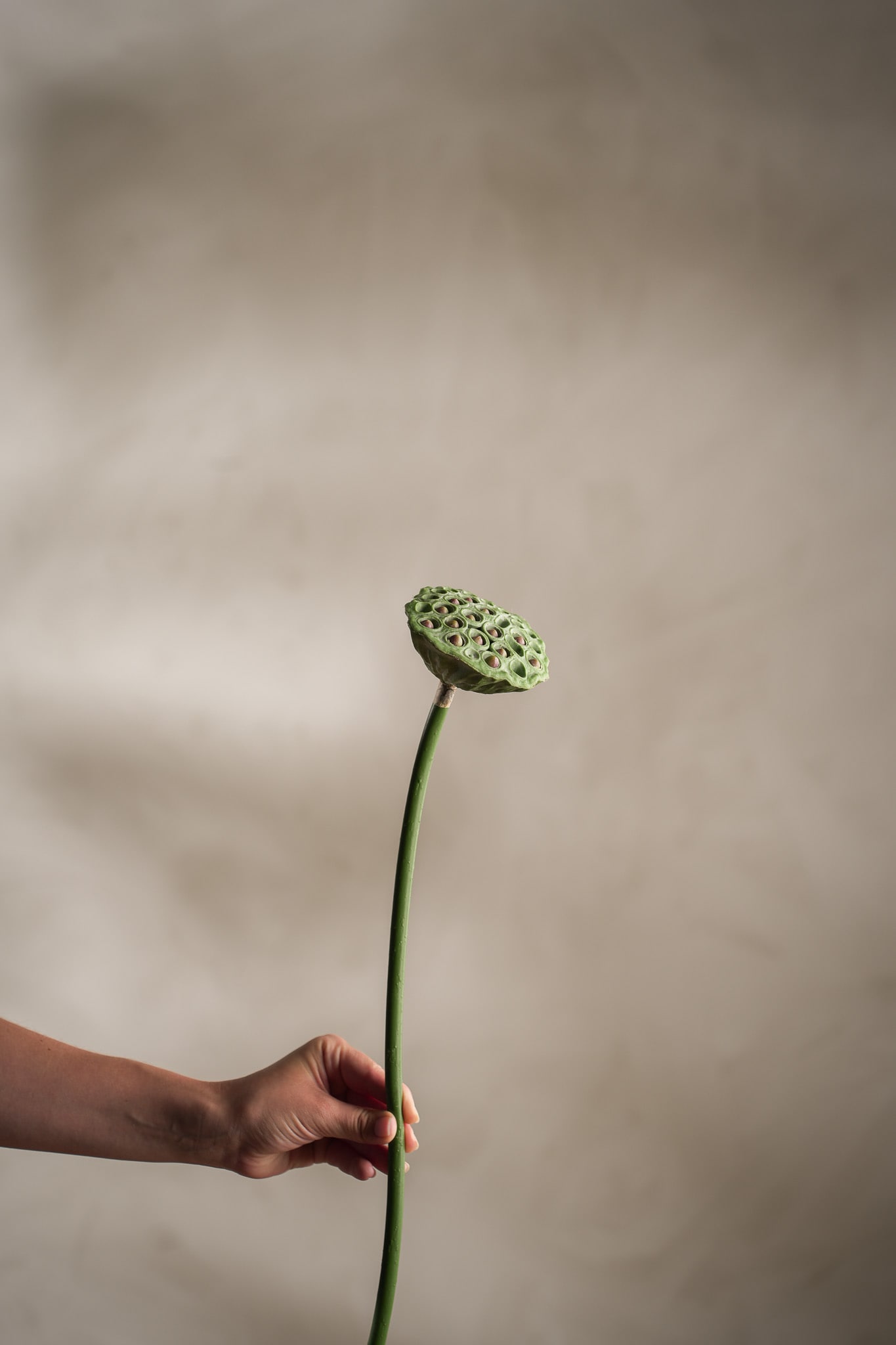 Kunstig grønn Lotus 60cm