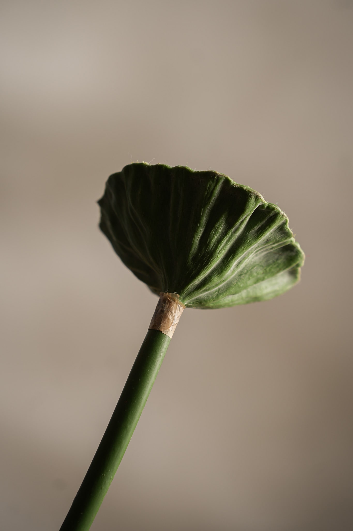Kunstig grønn Lotus 60cm