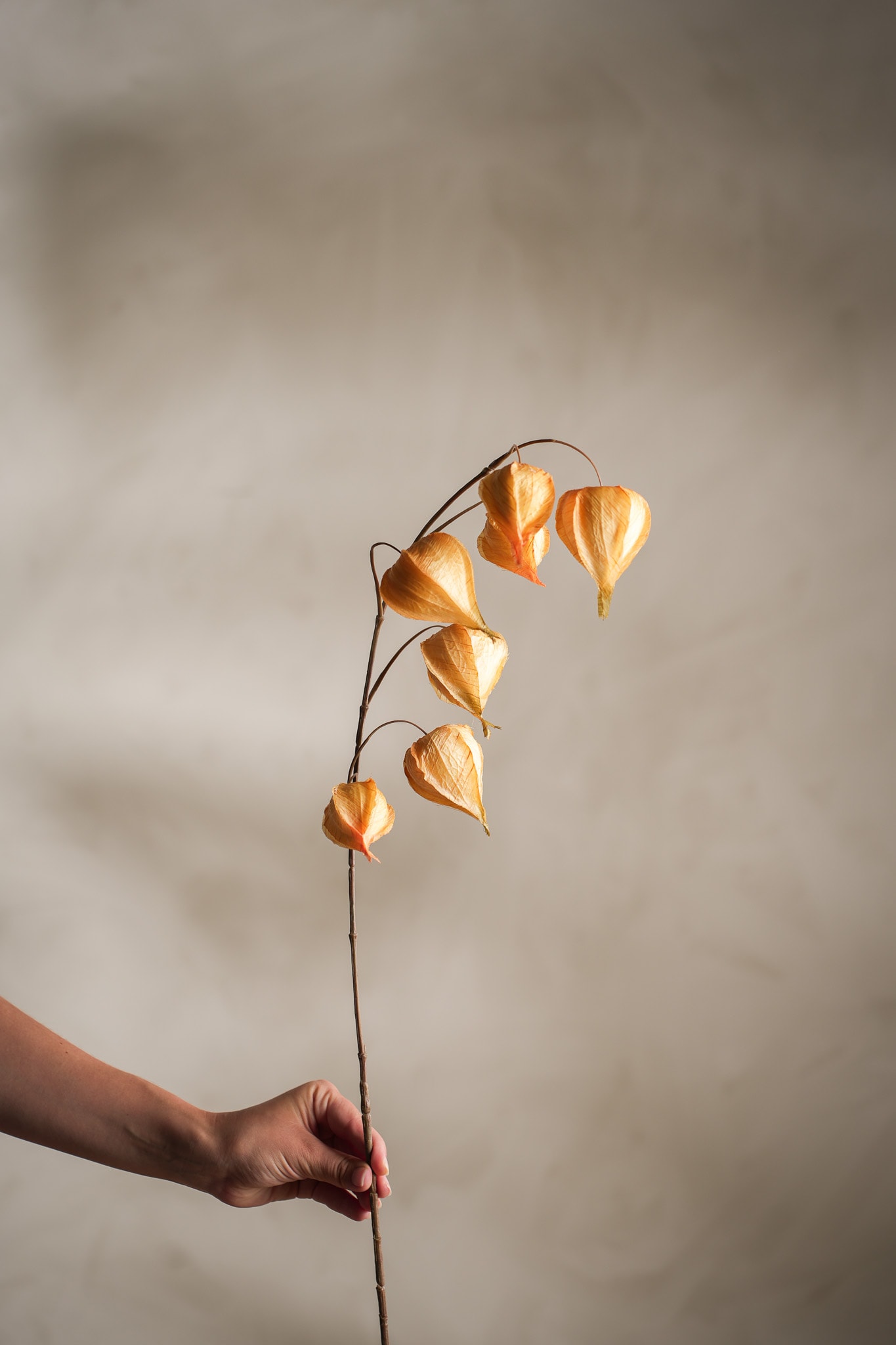 Kunstig gul Physalis 95cm