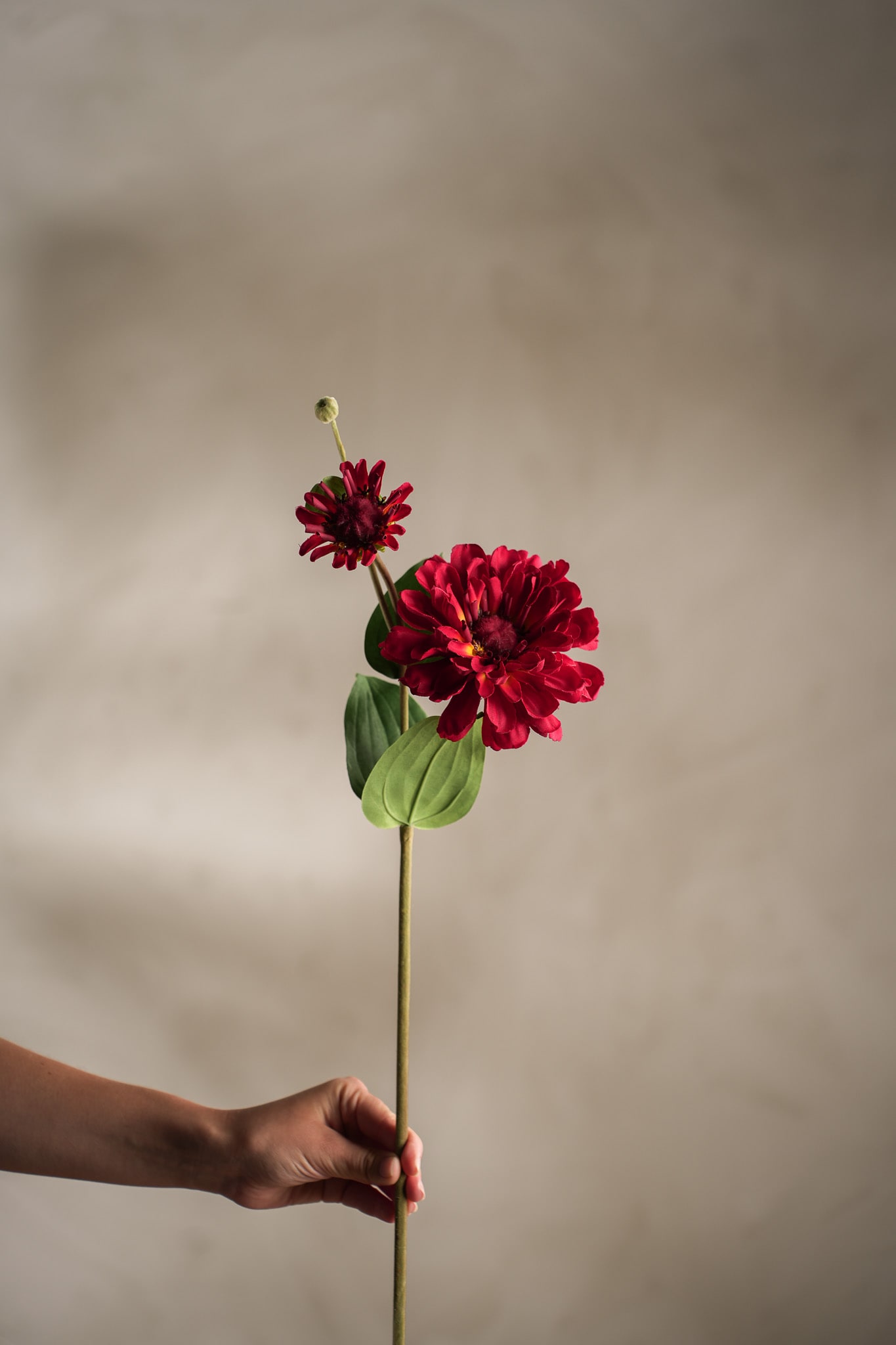 Kunstig rød Zinnia 63cm
