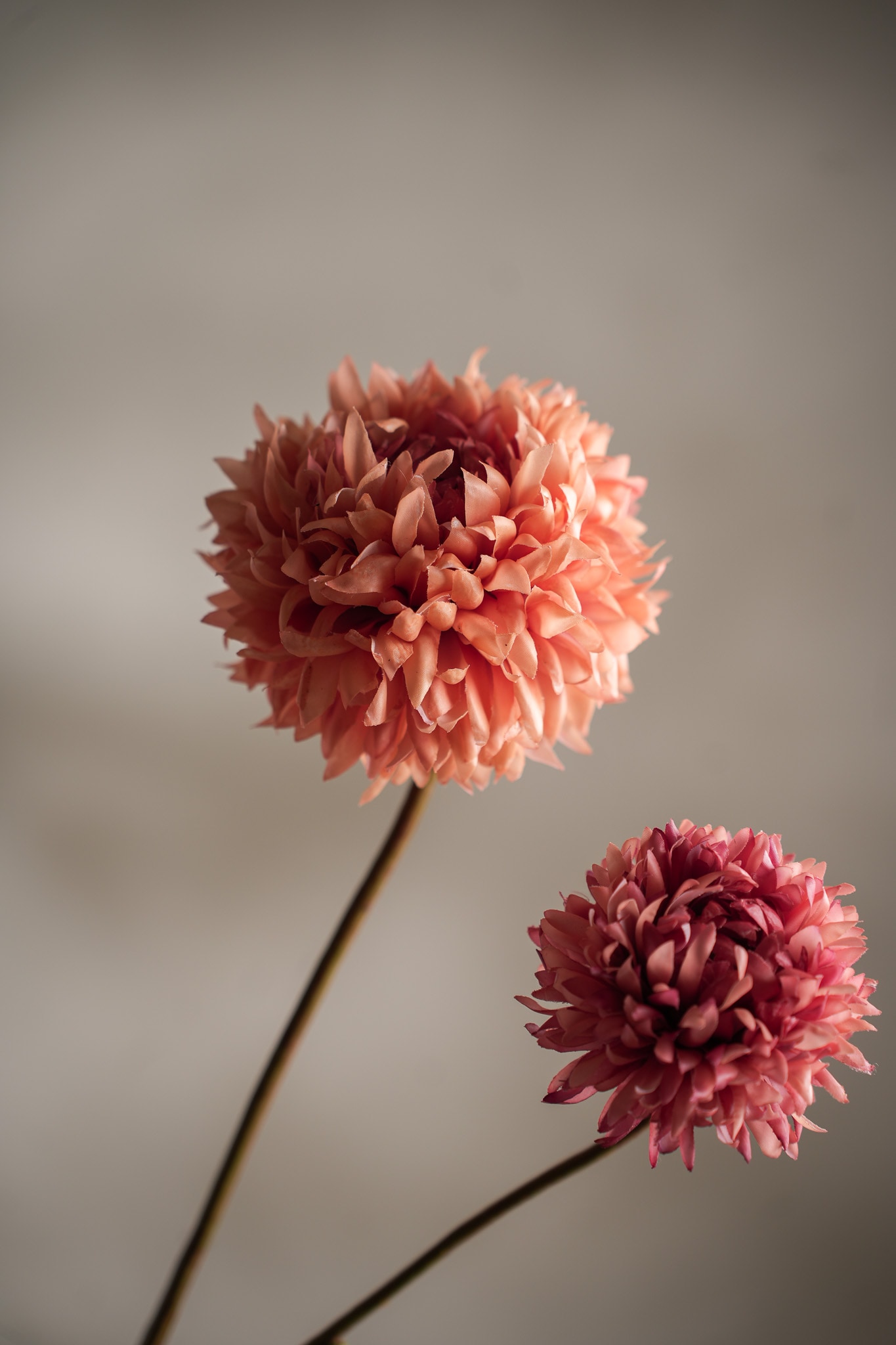 Kunstig fersken Chrysanthemum 65cm